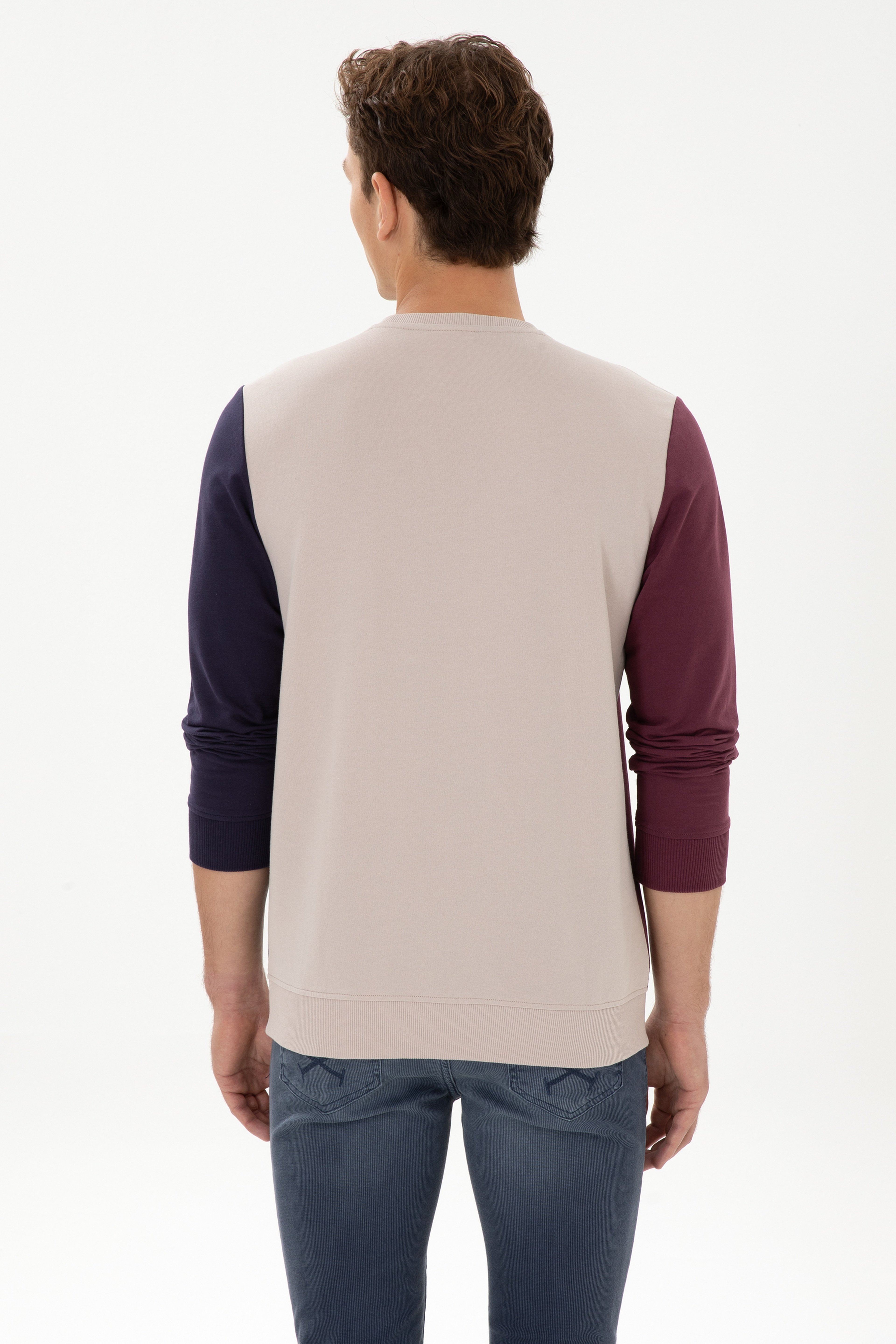 Erkek Regular Fit Bisiklet Yaka Taş İnce Sweatshirt - Image 5