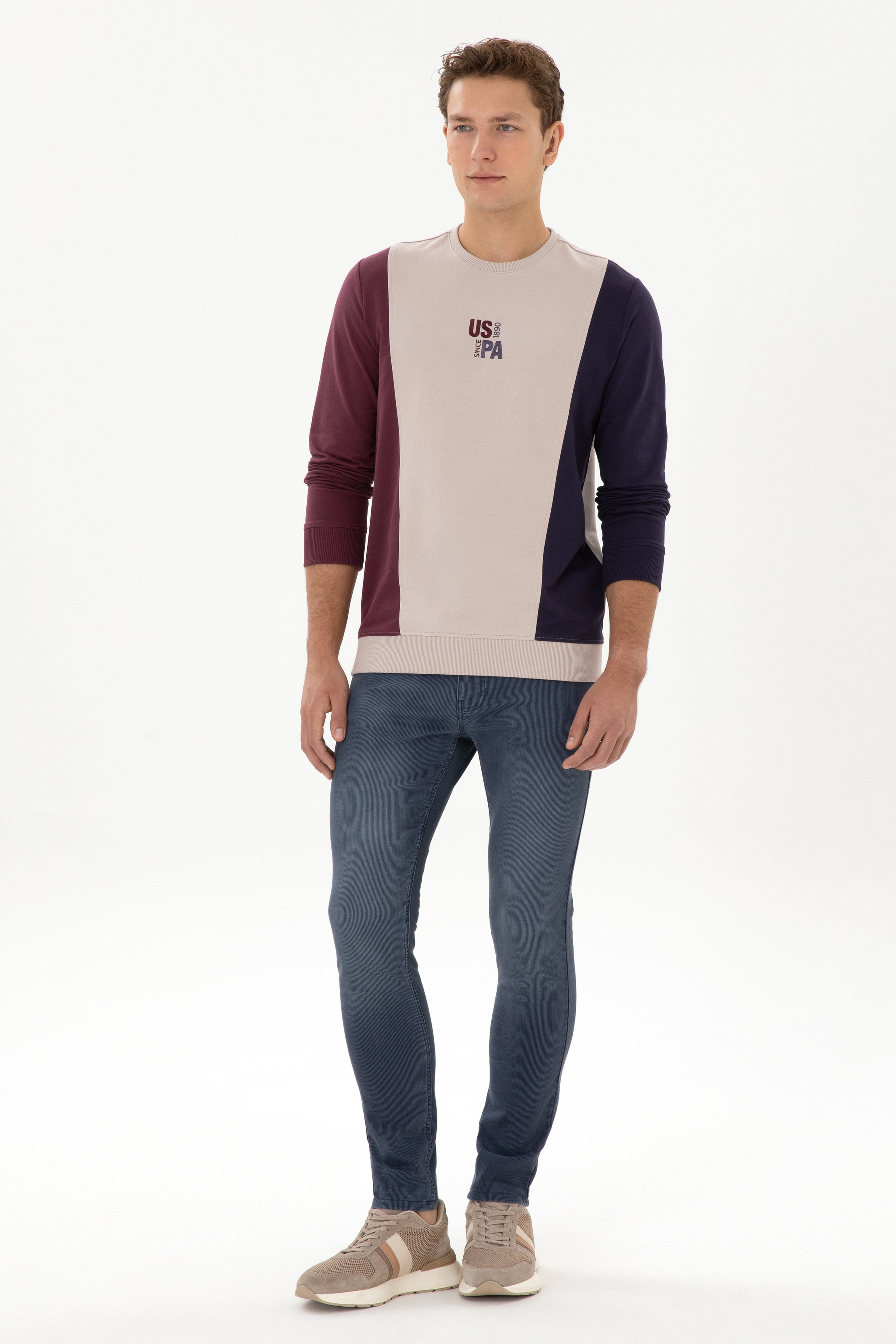 Erkek Regular Fit Bisiklet Yaka Taş İnce Sweatshirt - Image 4