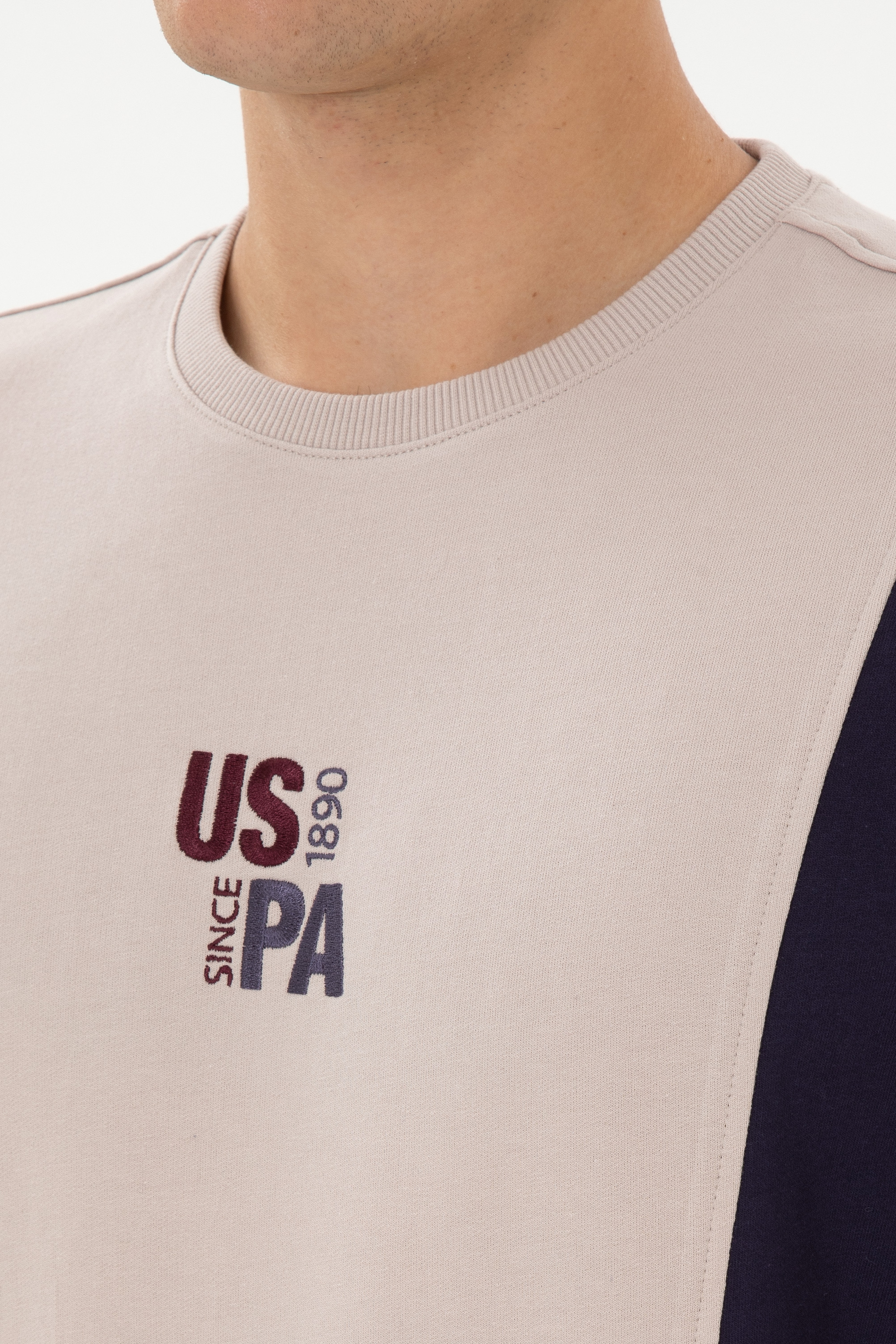 Erkek Regular Fit Bisiklet Yaka Taş İnce Sweatshirt - Image 7