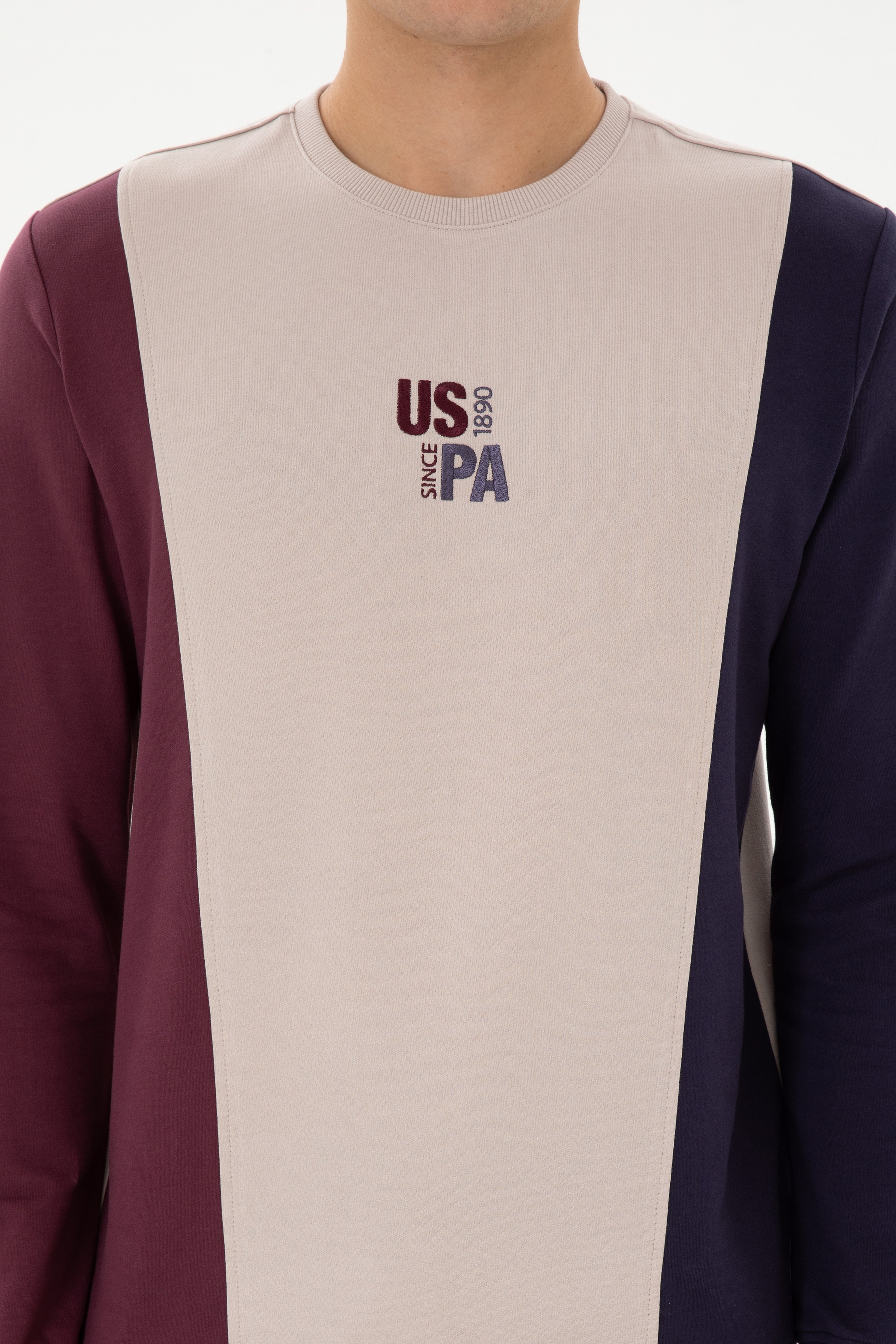 Erkek Regular Fit Bisiklet Yaka Taş İnce Sweatshirt