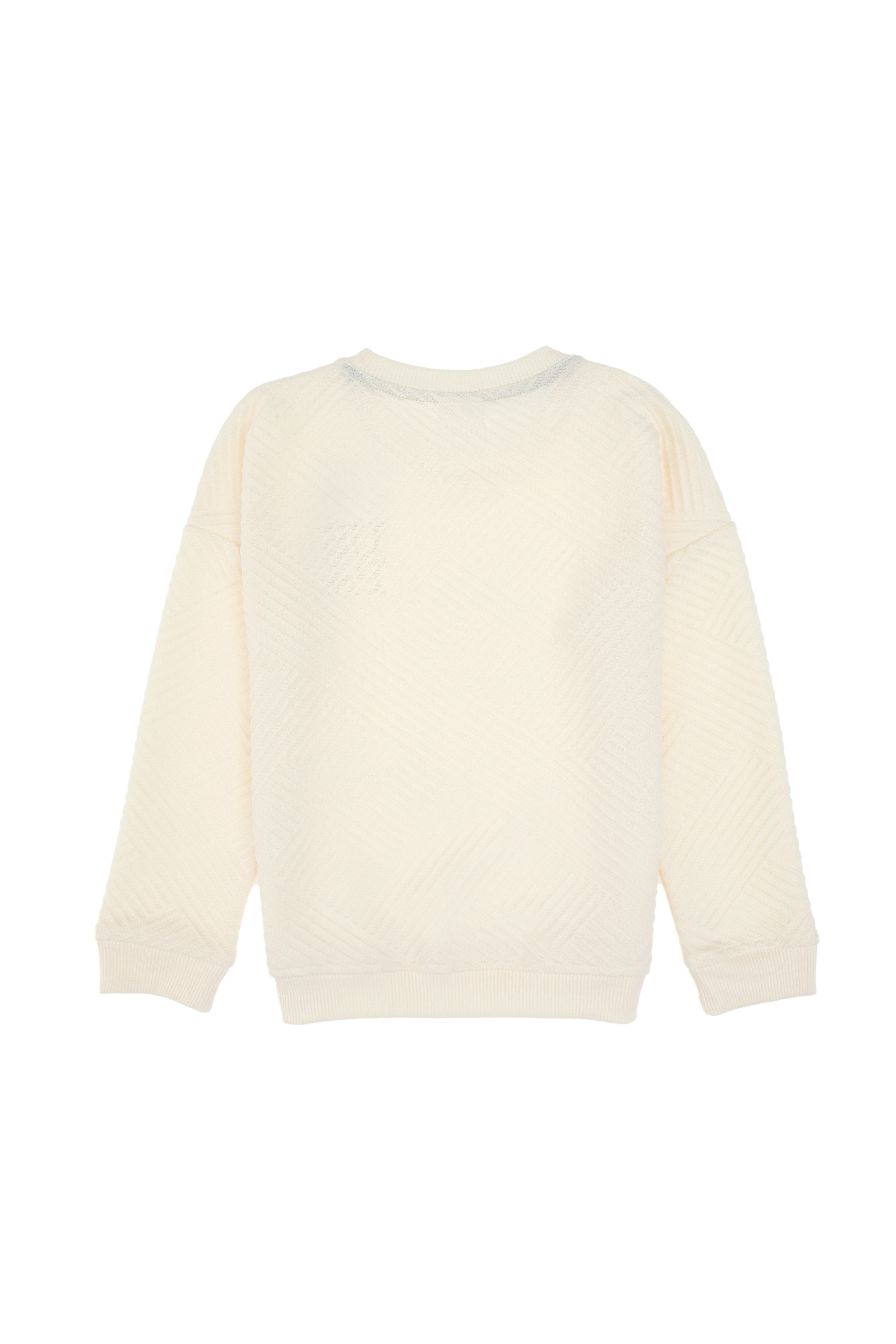 Erkek Çocuk Krem Dik Yaka Sweatshirt - Image 3