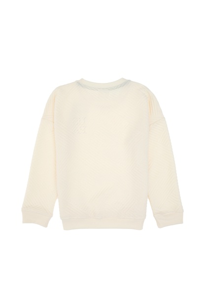 Erkek Çocuk Krem Dik Yaka Sweatshirt
