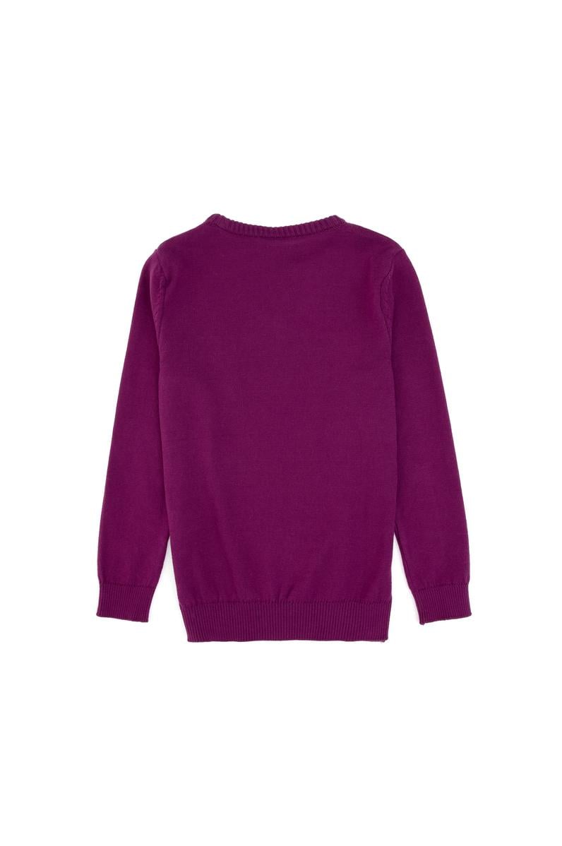 Kız Çocuk Menekşe Bisiklet Yaka Basic Kazak