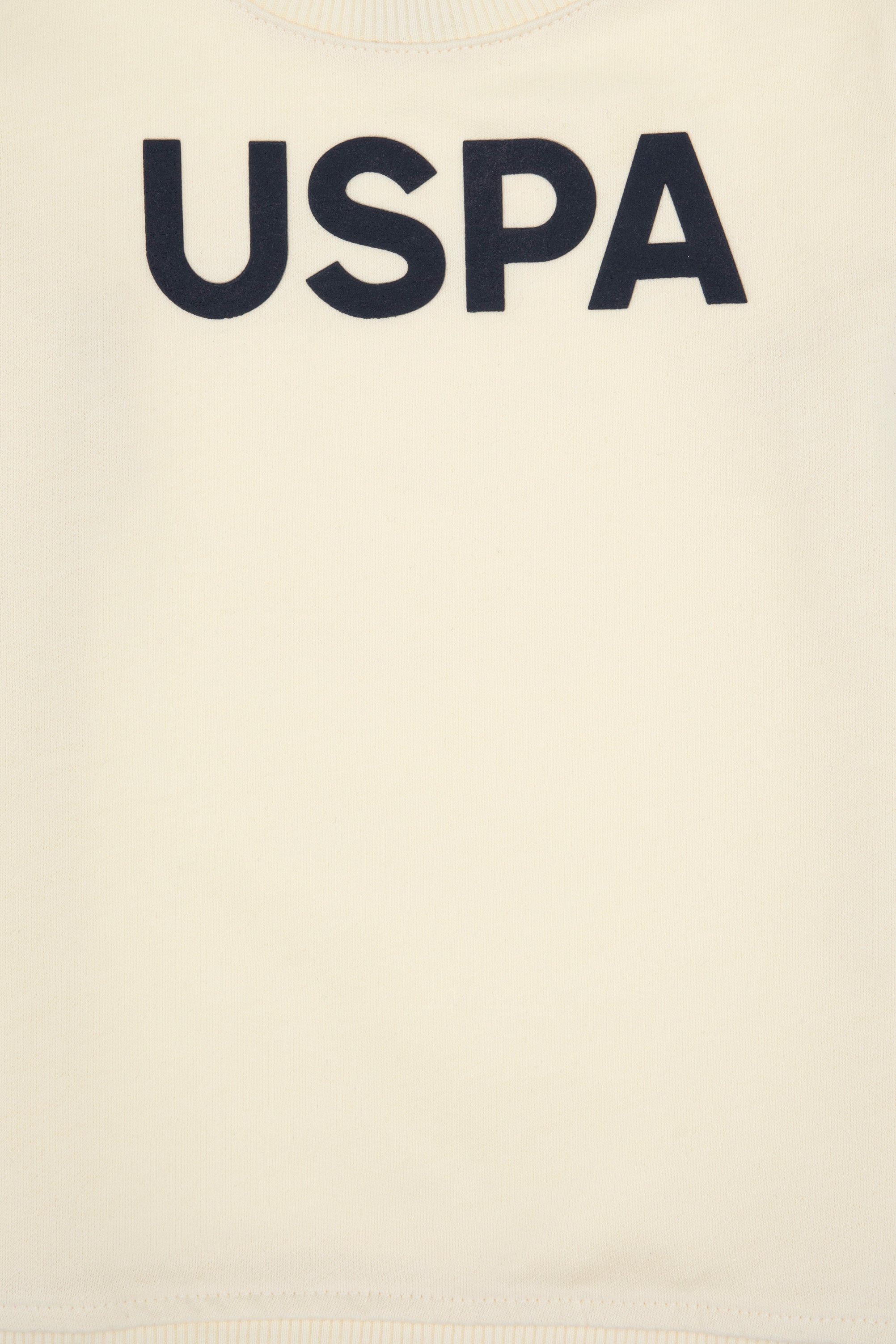 Erkek Çocuk Krem Polo Yaka Basic Sweatshirt - Image 4