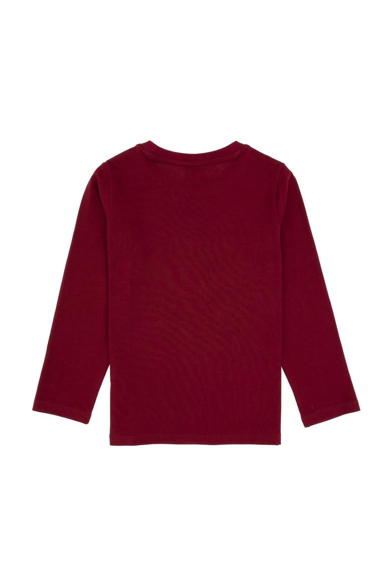 Erkek Çocuk Bordo Bisiklet Yaka Süprem Sweatshirt - 50316595001