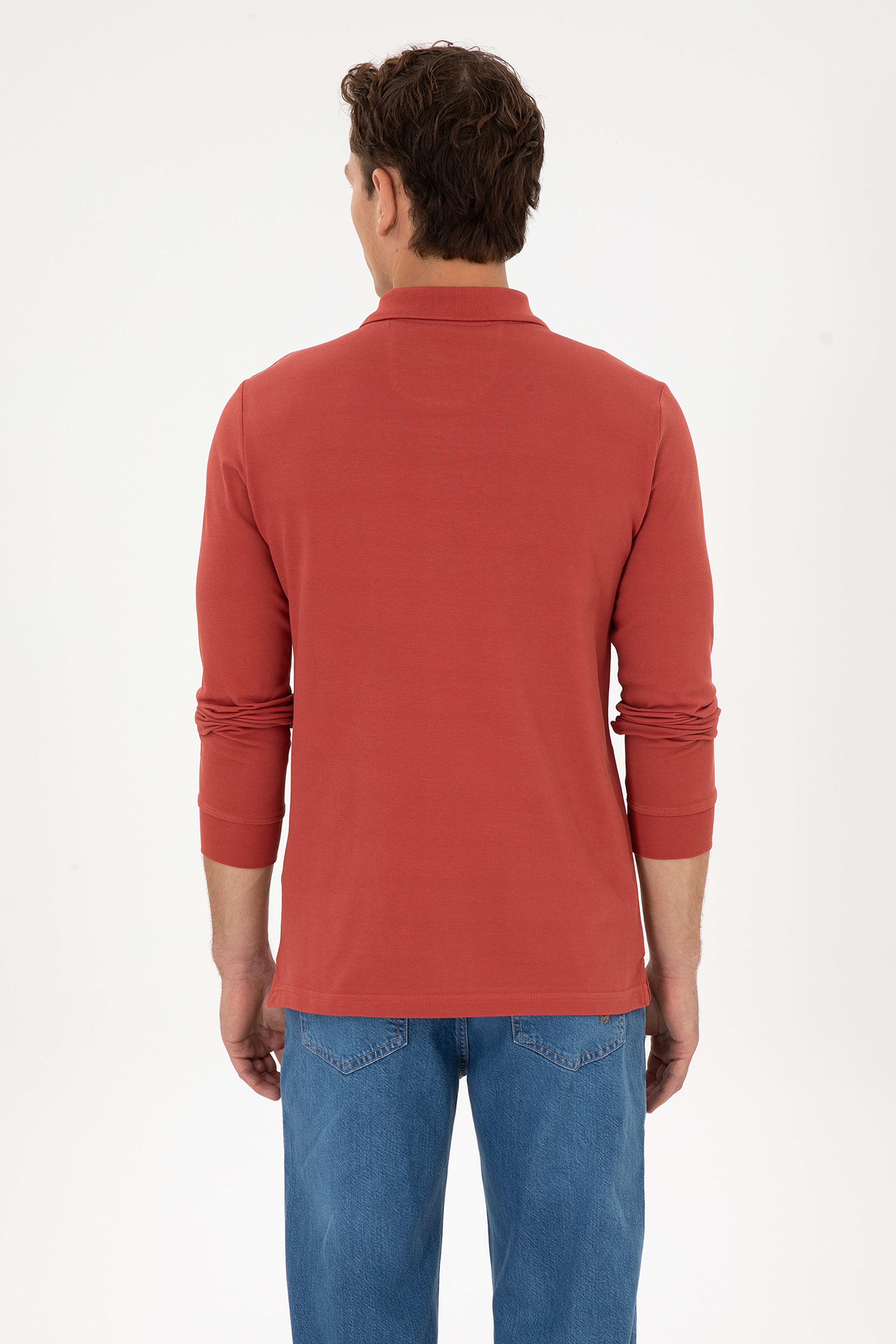 Erkek Regular Fit Polo Yaka Gül Kurusu Basic Sweatshirt - Image 5