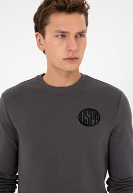 Erkek Regular Fit Bisiklet Yaka Gri Sweatshirt - 50308717018