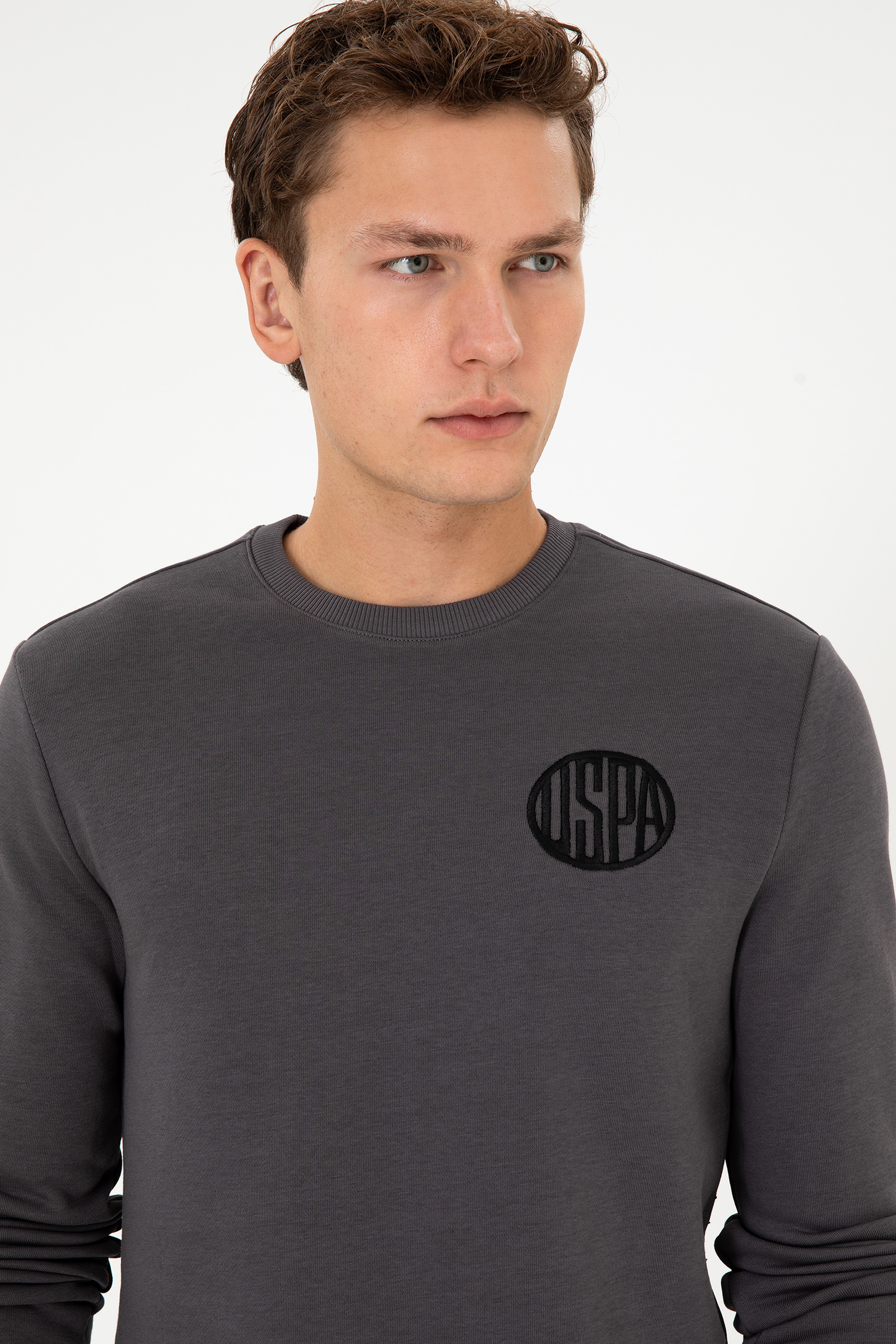 Erkek Regular Fit Bisiklet Yaka Gri Sweatshirt