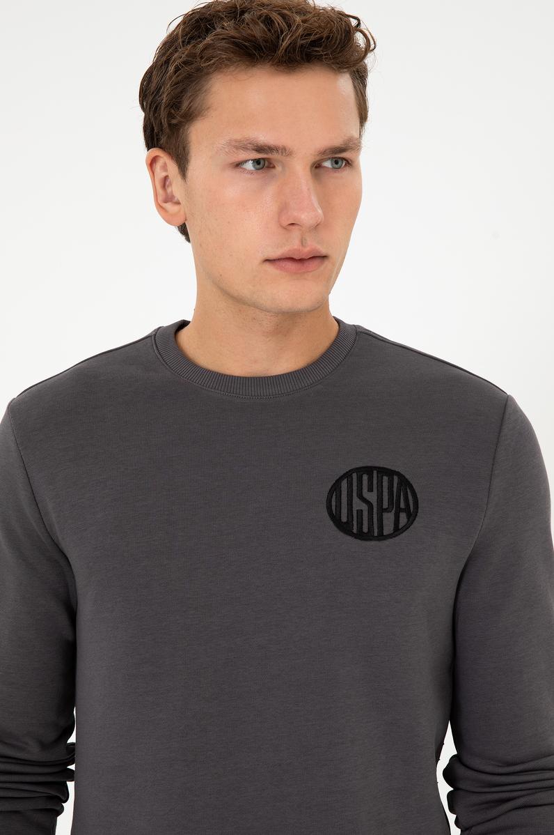 Erkek Regular Fit Bisiklet Yaka Gri Sweatshirt