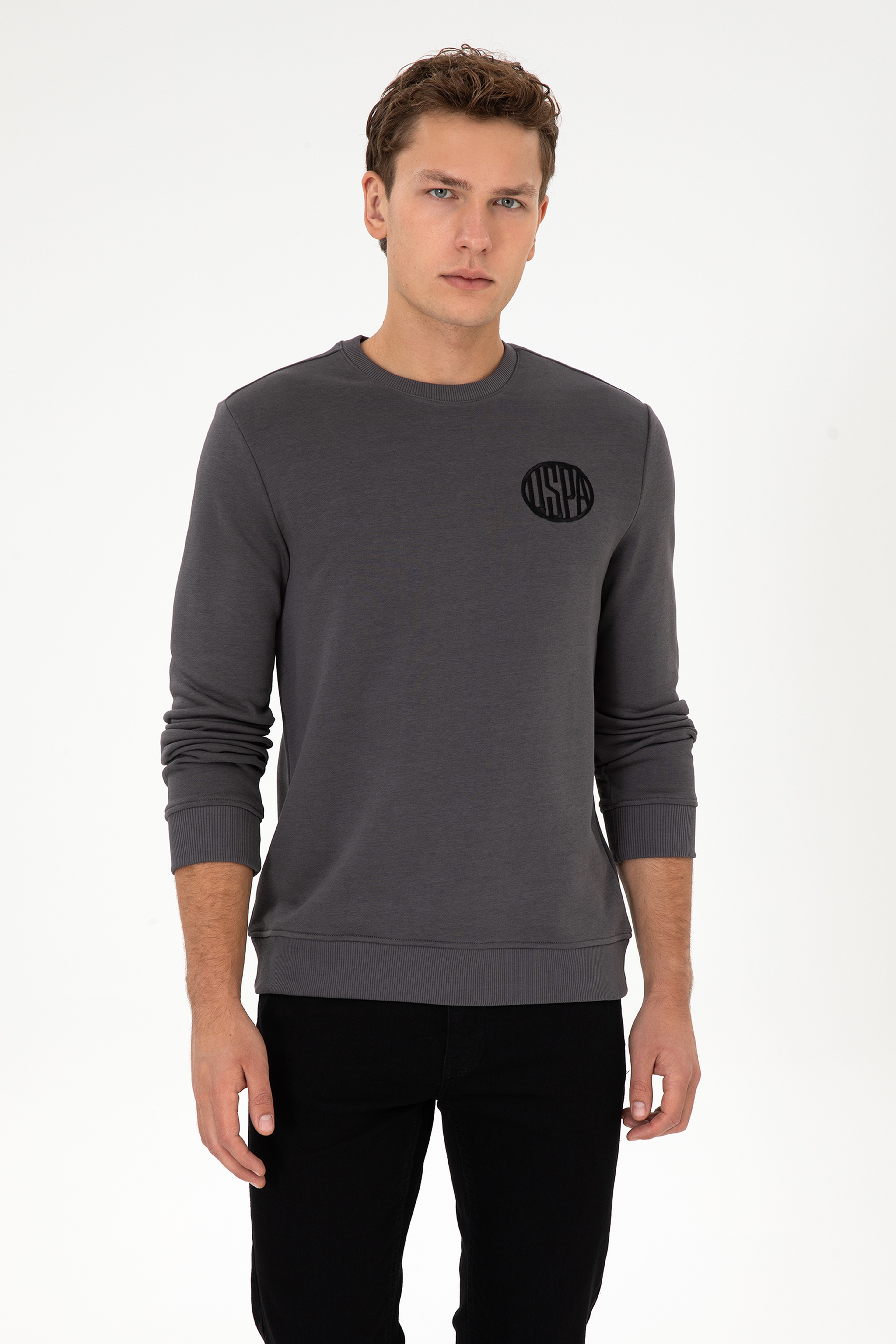 Erkek Regular Fit Bisiklet Yaka Gri Sweatshirt - Image 3