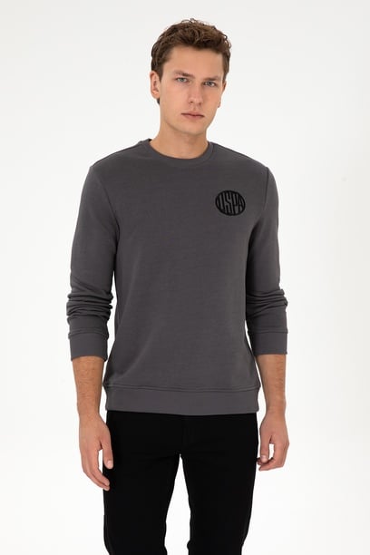 Erkek Regular Fit Bisiklet Yaka Gri Sweatshirt