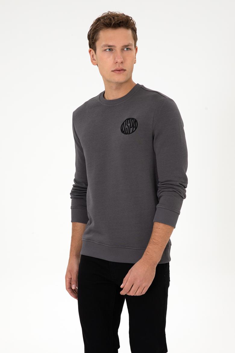 Erkek Regular Fit Bisiklet Yaka Gri Sweatshirt
