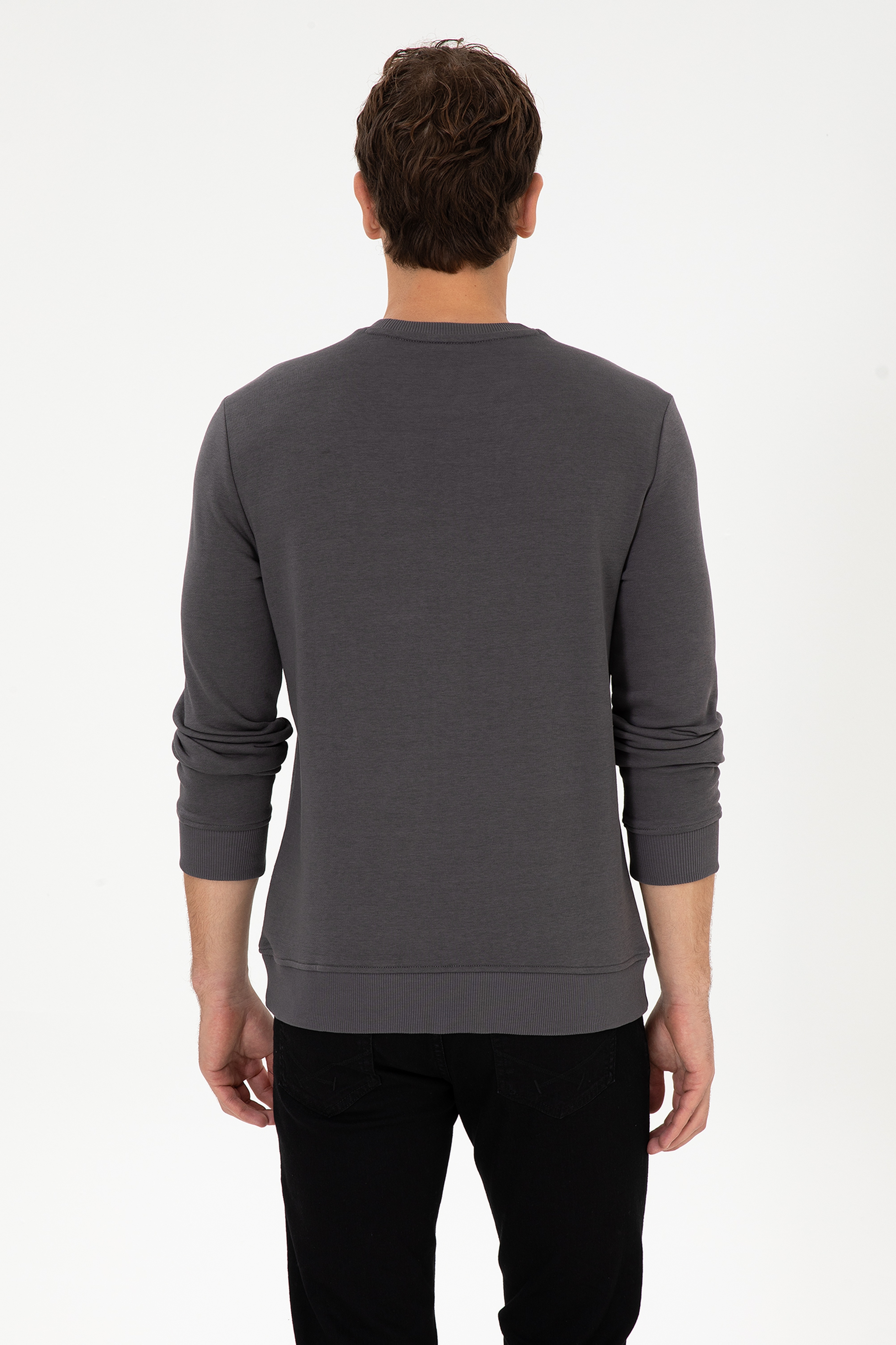 Erkek Regular Fit Bisiklet Yaka Gri Sweatshirt - Image 5