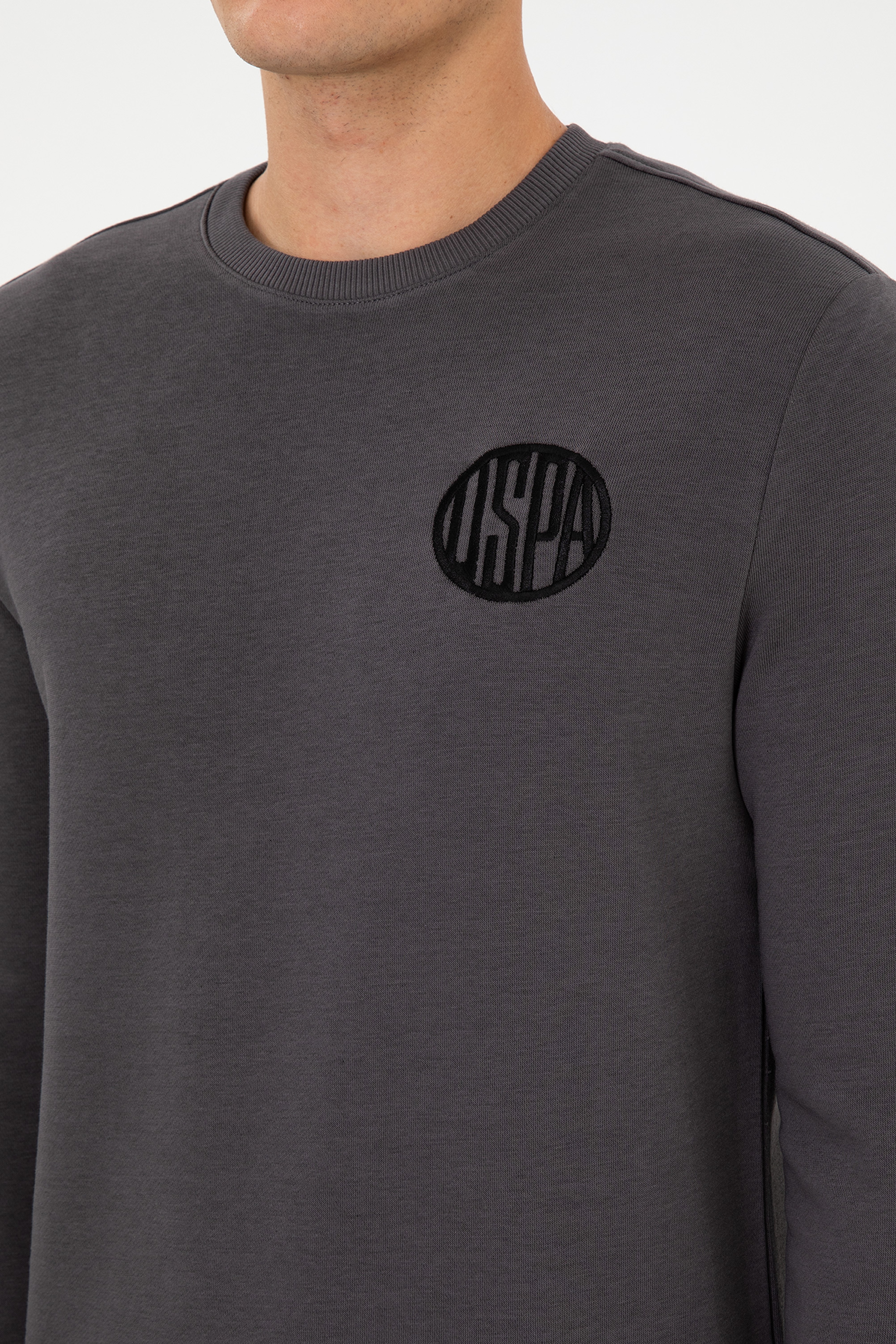 Erkek Regular Fit Bisiklet Yaka Gri Sweatshirt - Image 7