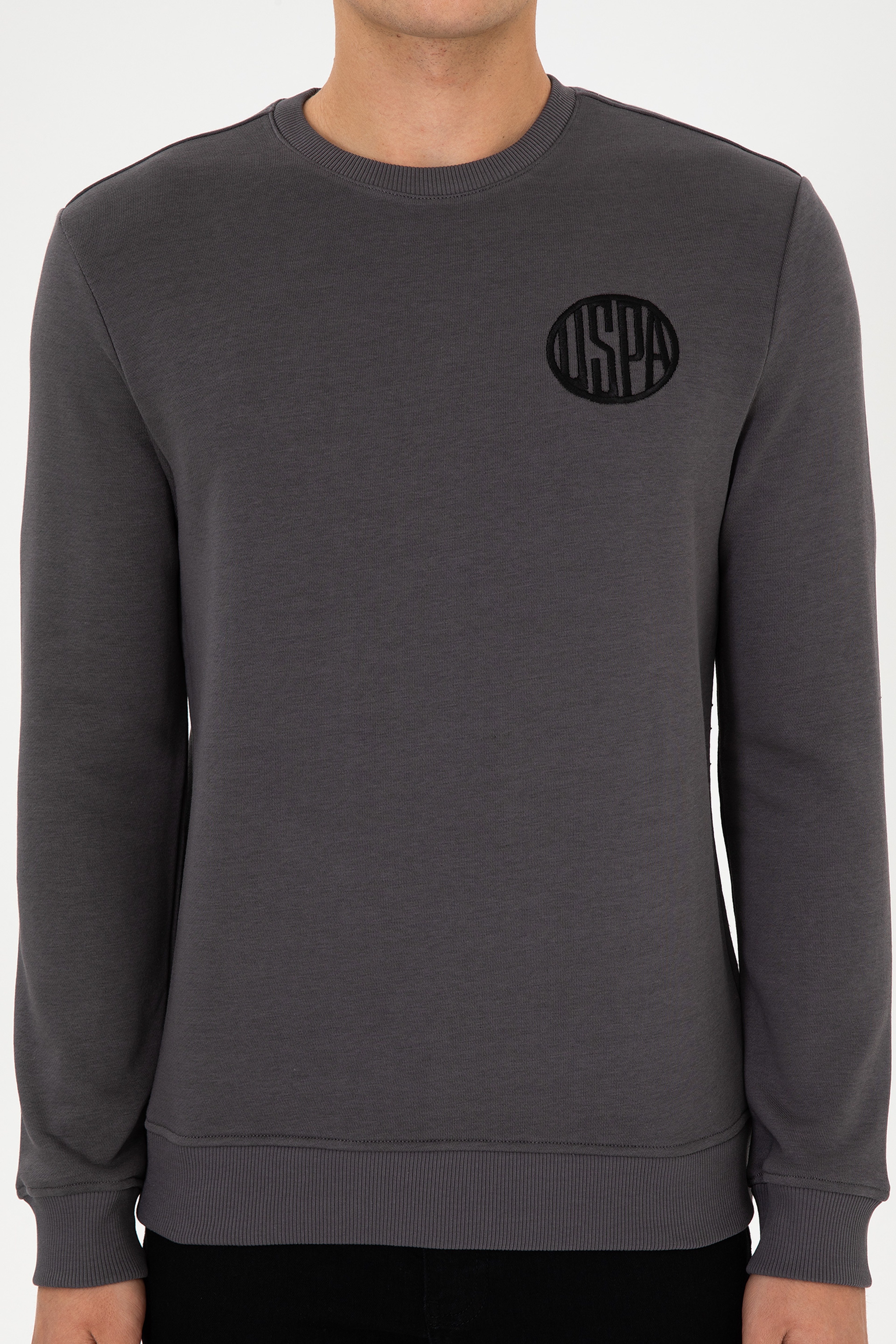 Erkek Regular Fit Bisiklet Yaka Gri Sweatshirt