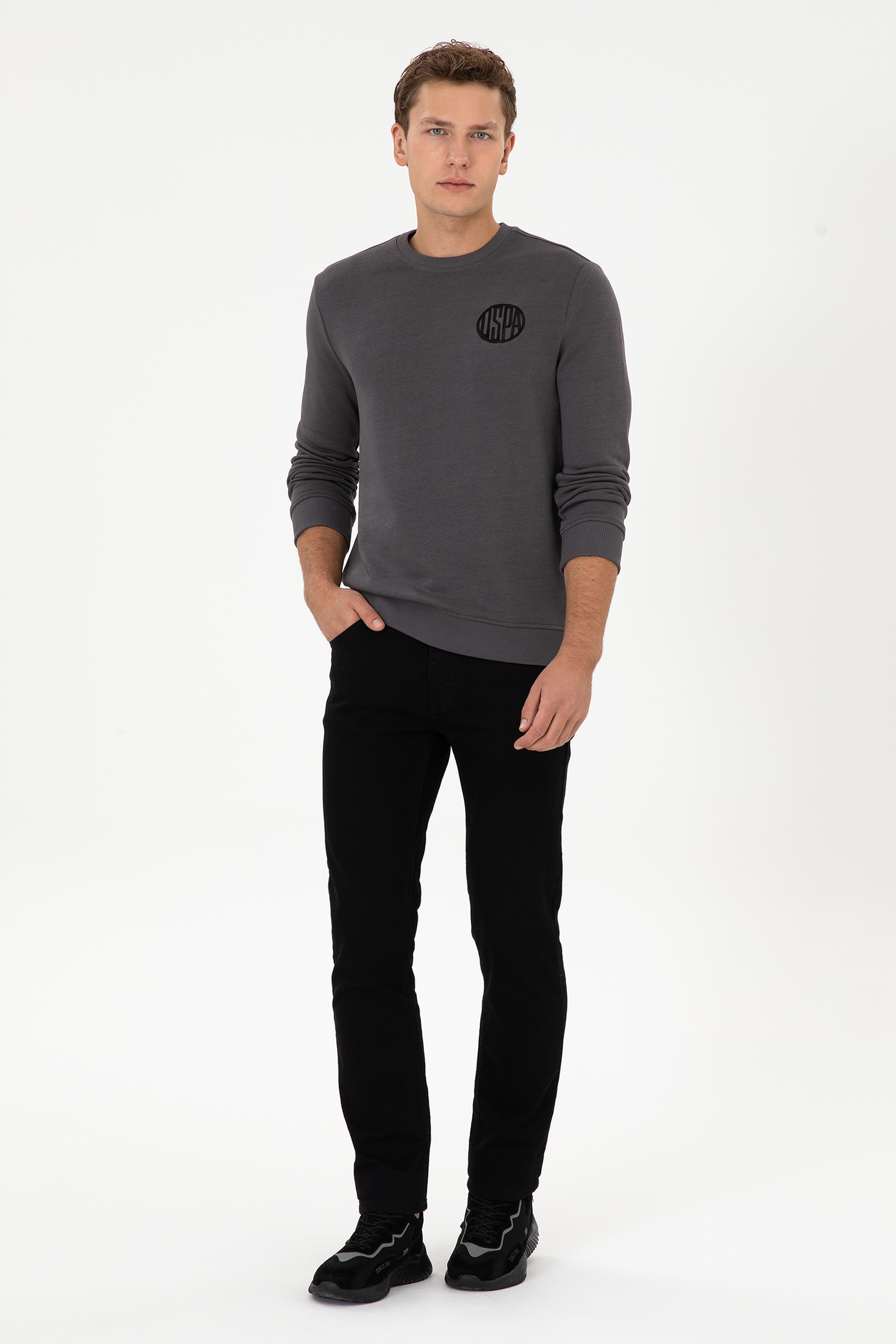 Erkek Regular Fit Bisiklet Yaka Gri Sweatshirt - Image 4