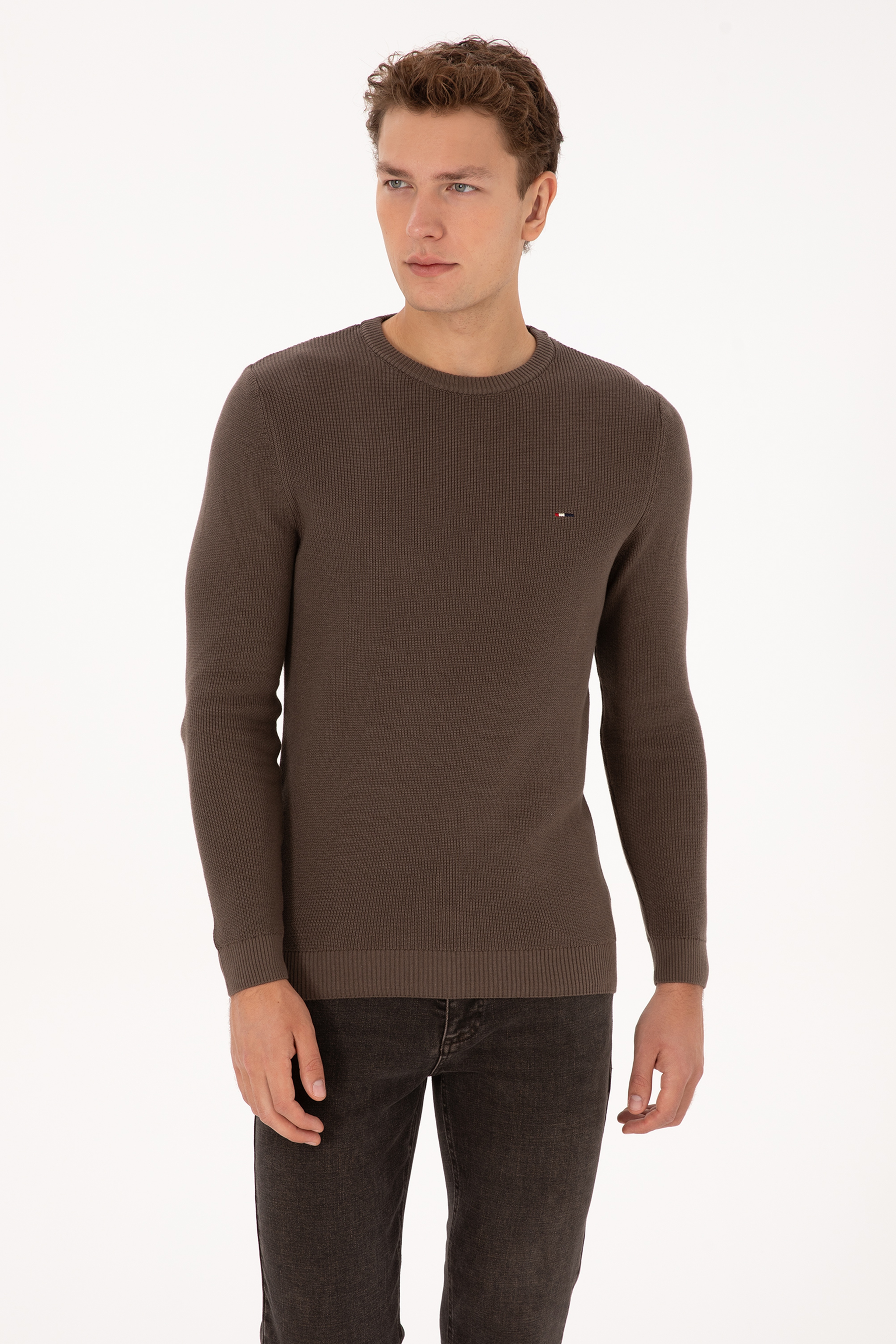 Erkek Slim Fit Bisiklet Yaka Vizon Basic Kazak - Image 1