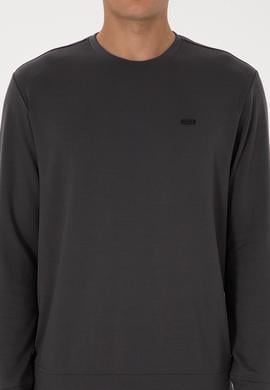 Erkek Regular Fit Bisiklet Yaka Gri Sweatshirt - 50315483056