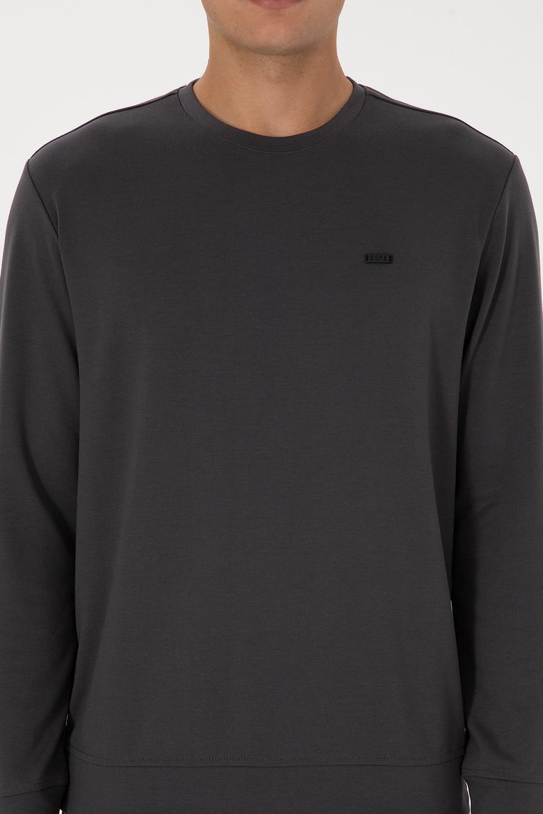 Erkek Regular Fit Bisiklet Yaka Gri Sweatshirt - 50315483056