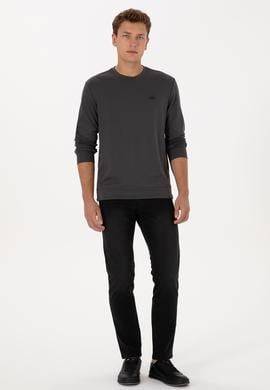 Erkek Regular Fit Bisiklet Yaka Gri Sweatshirt - 50315483056