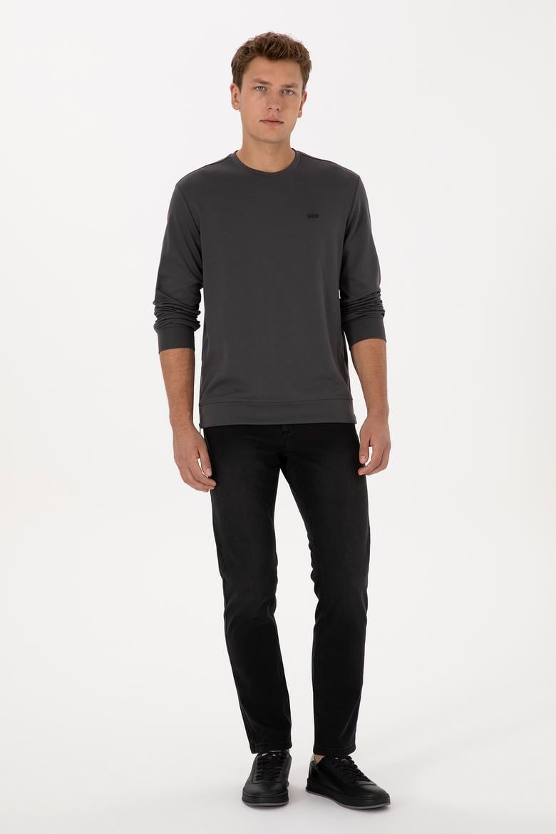 Erkek Regular Fit Bisiklet Yaka Gri Sweatshirt - 50315483056