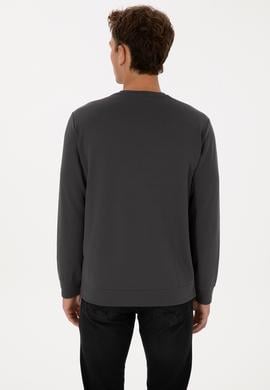 Erkek Regular Fit Bisiklet Yaka Gri Sweatshirt - 50315483056