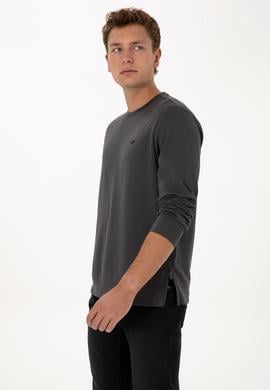 Erkek Regular Fit Bisiklet Yaka Gri Sweatshirt - 50315483056