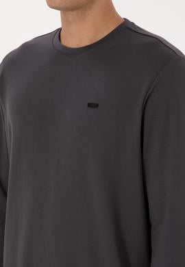 Erkek Regular Fit Bisiklet Yaka Gri Sweatshirt - 50315483056