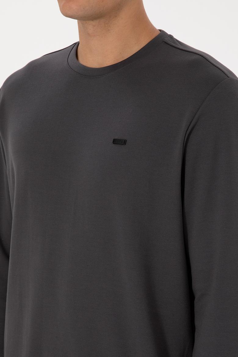 Erkek Regular Fit Bisiklet Yaka Gri Sweatshirt - 50315483056