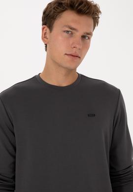 Erkek Regular Fit Bisiklet Yaka Gri Sweatshirt - 50315483056