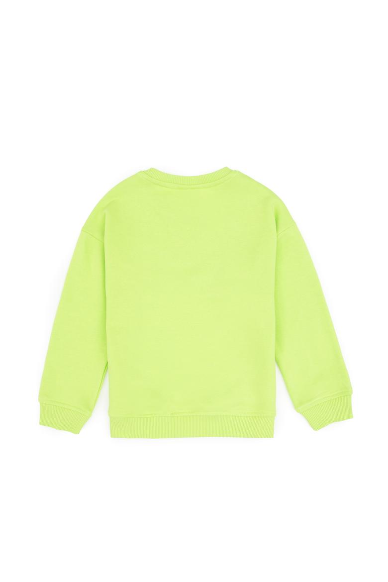 Erkek Çocuk Yeşil Bisiklet Yaka Basic Sweatshirt - 50313829122