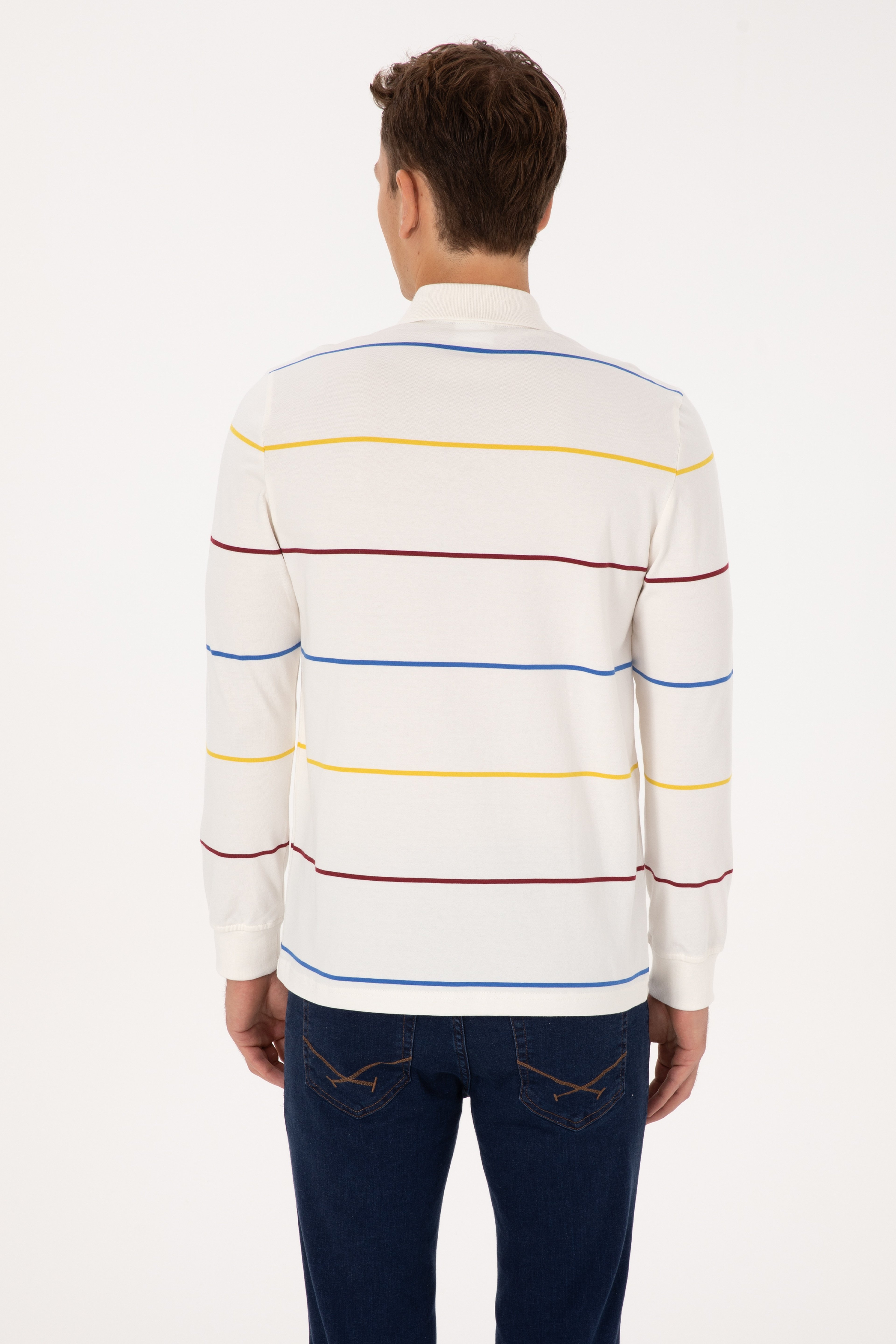 Erkek Regular Fit Polo Yaka Çizgili Krem Sweatshirt - Image 5