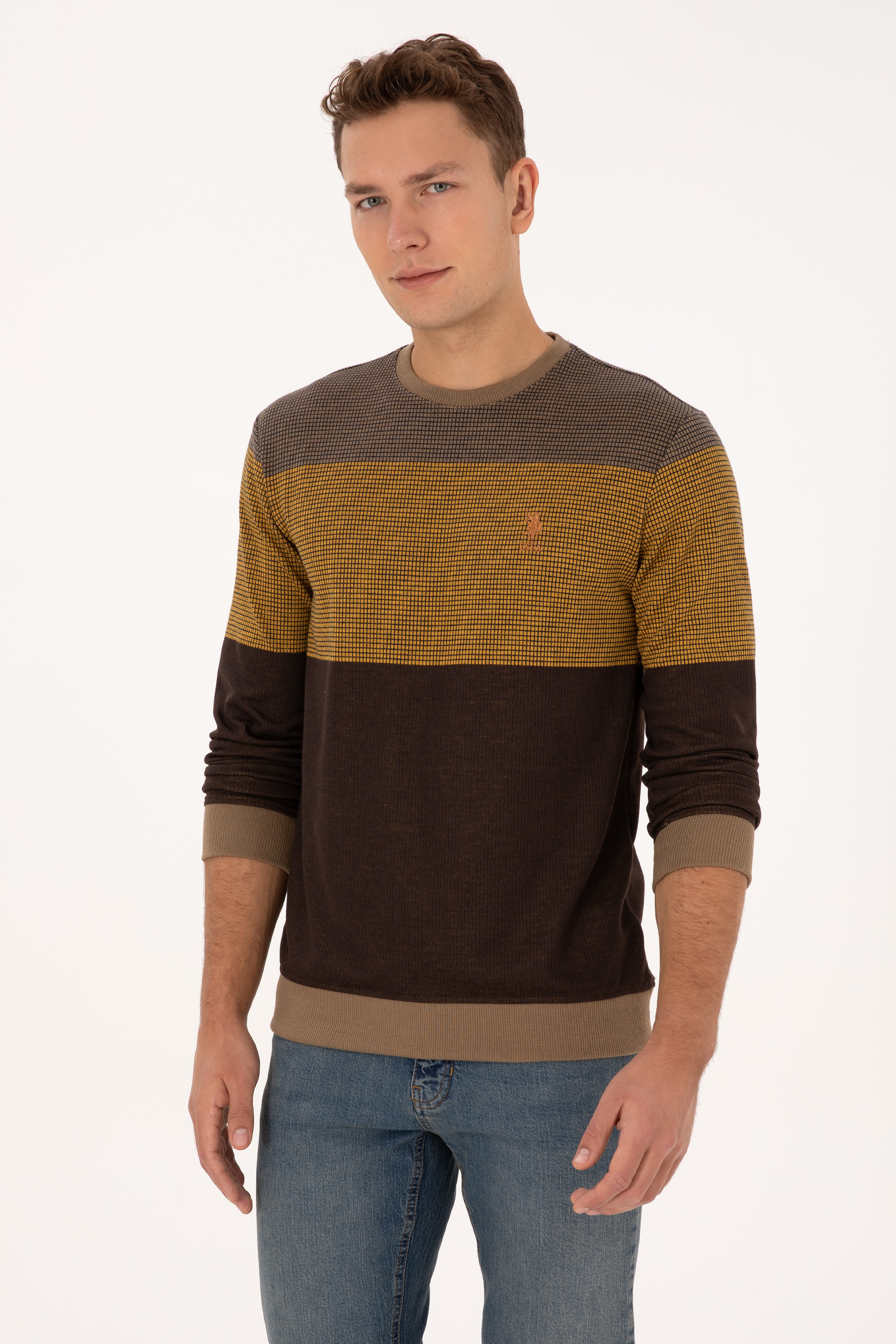 Erkek Regular Fit Bisiklet Yaka Camel Sweatshirt - Image 3