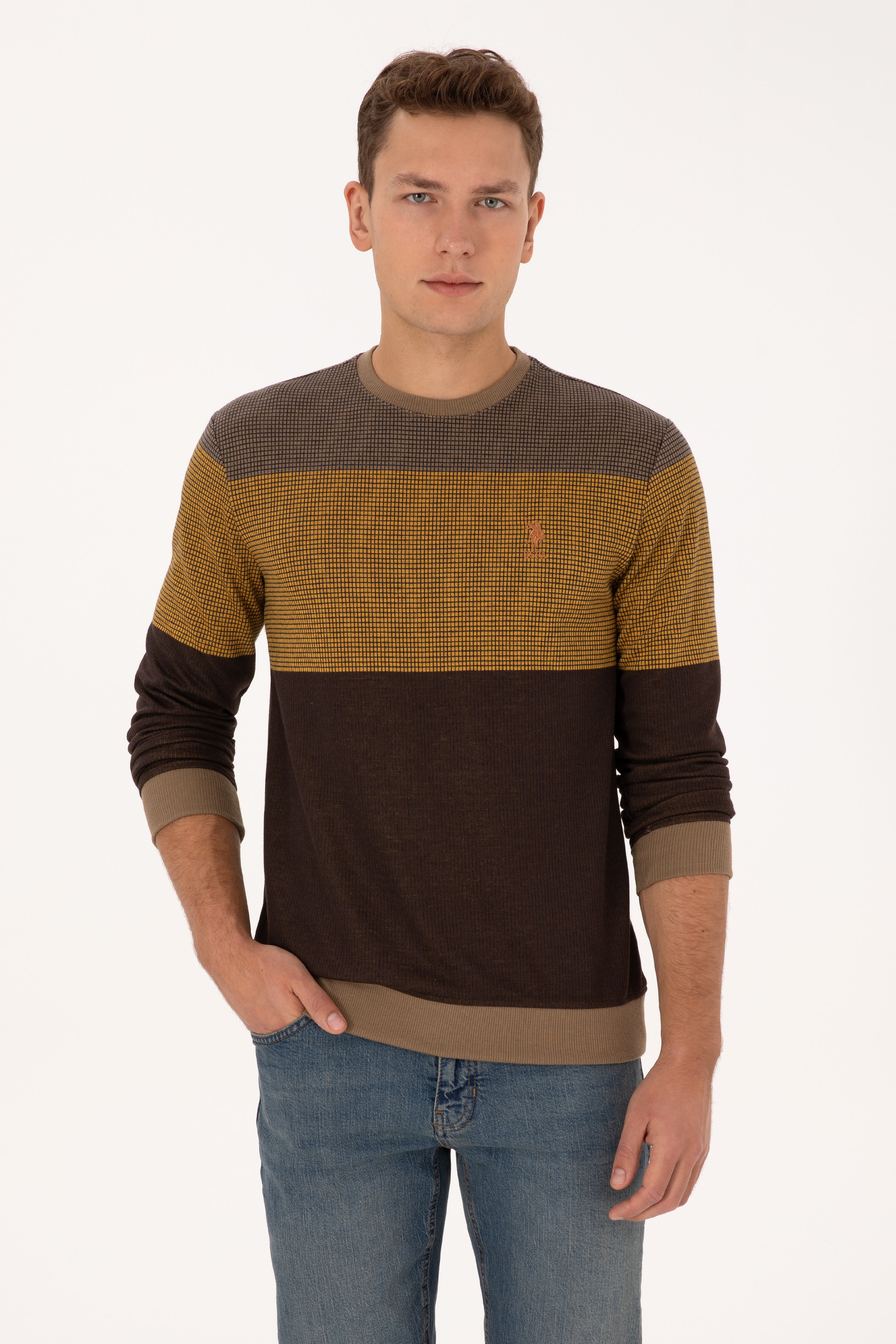 Erkek Regular Fit Bisiklet Yaka Camel Sweatshirt - Image 1