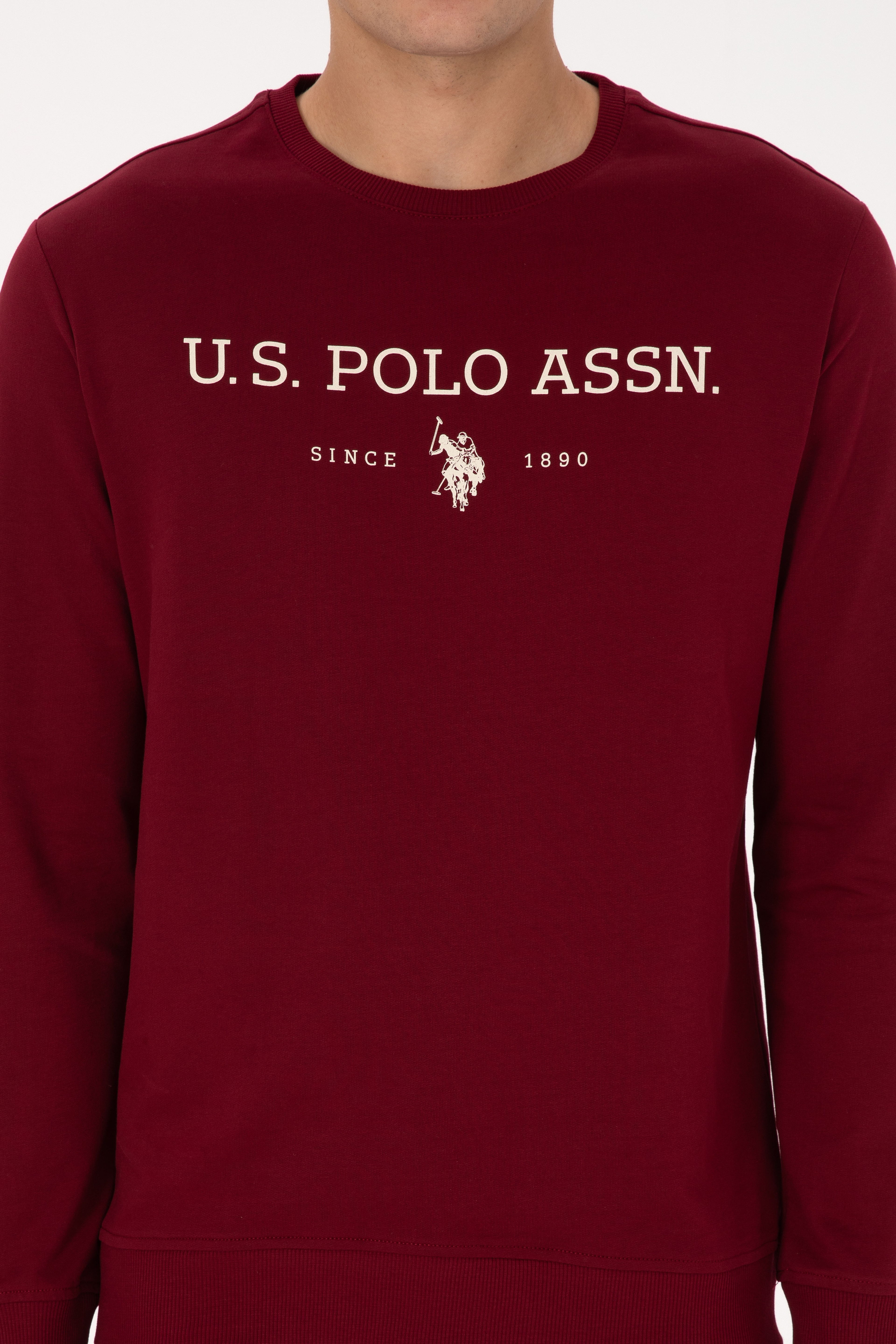 Erkek Regular Fit Bisiklet Yaka Bordo İnce Basic Sweatshirt - Image 6