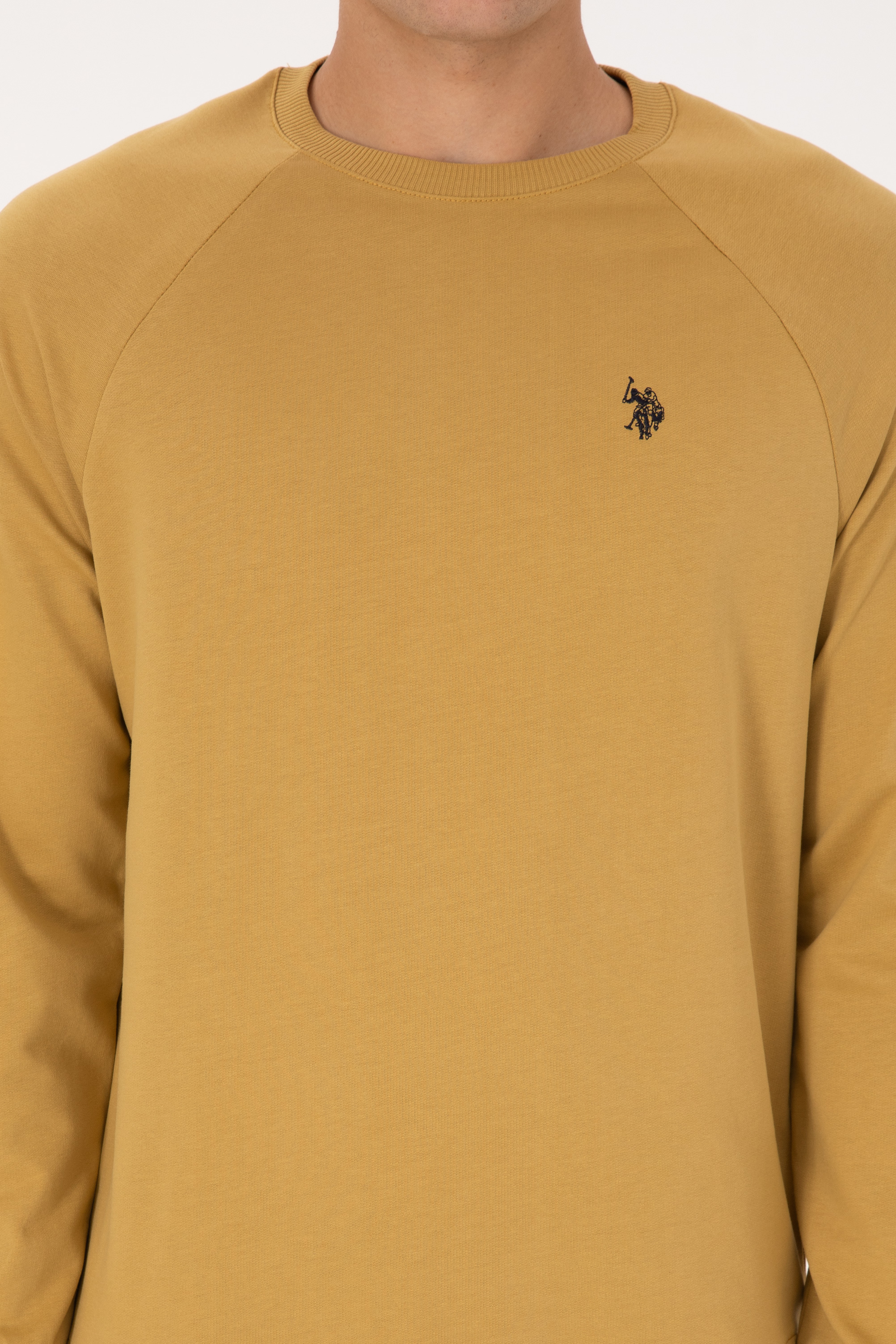 Erkek Regular Fit Bisiklet Yaka Hardal İnce Basic Sweatshirt - Image 6