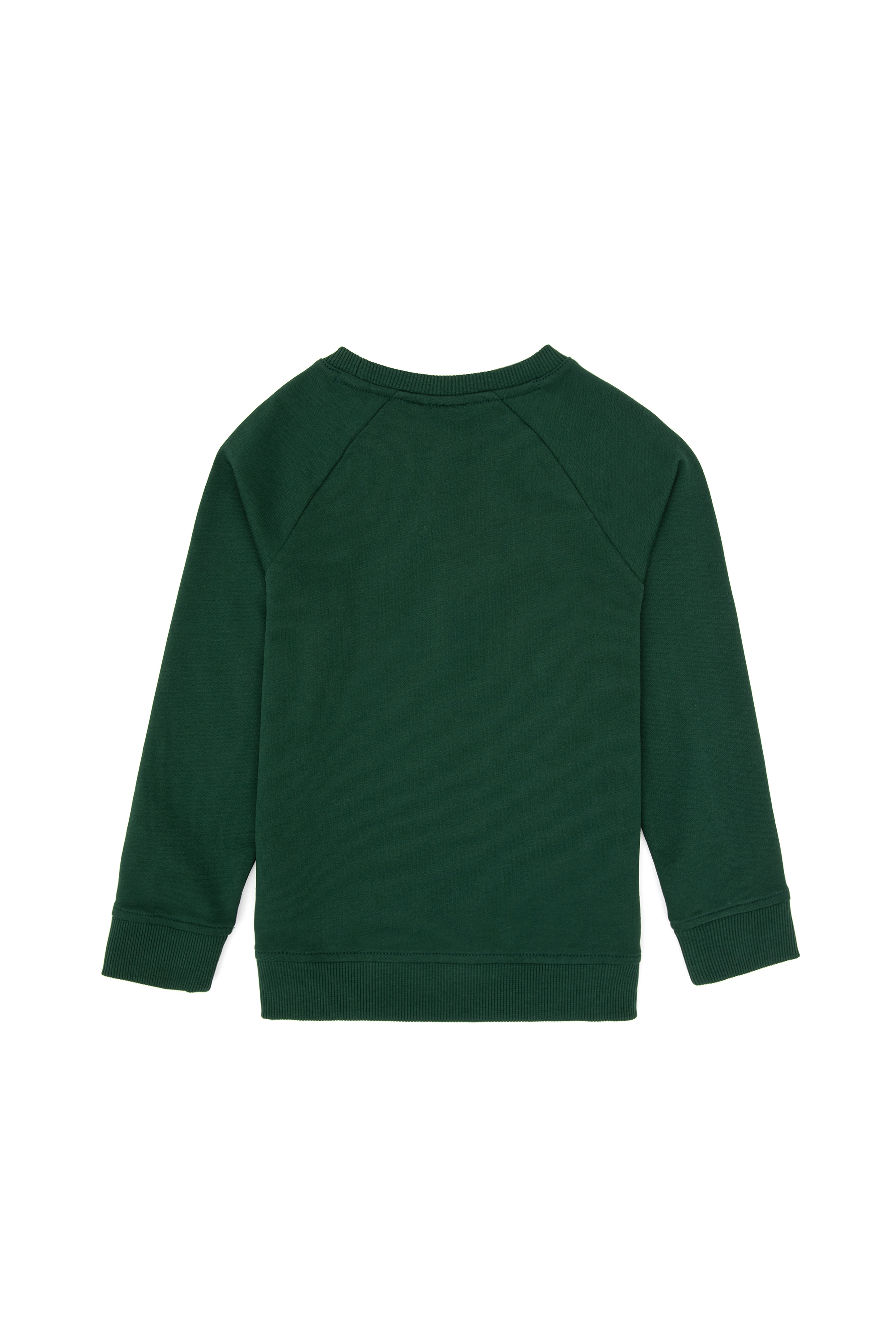 Erkek Çocuk Koyu Yeşil Basic Bisiklet Yaka Sweatshirt