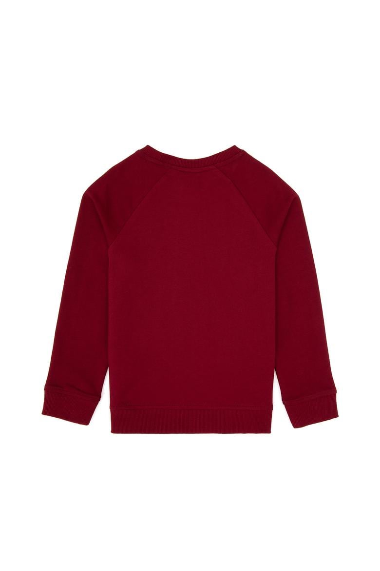 Erkek Çocuk Bordo Basic Bisiklet Yaka Sweatshirt - 50313832033
