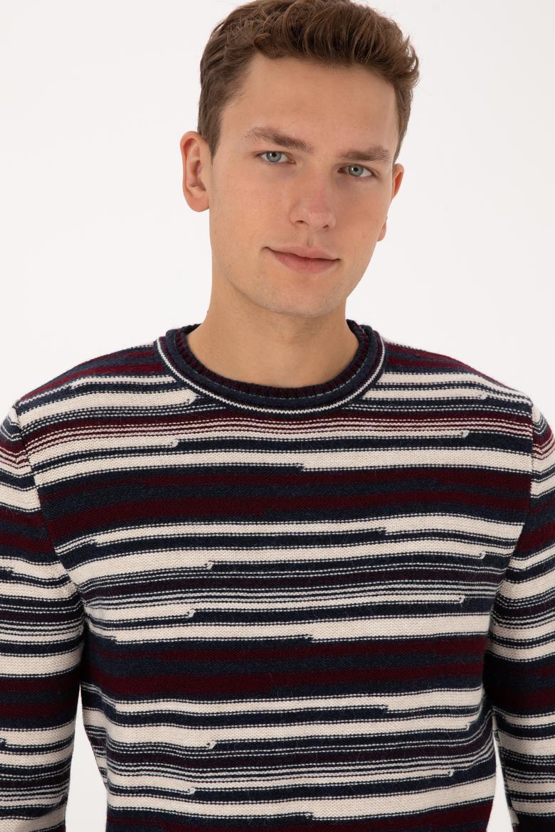 Erkek Comfort Fit Bisiklet Yaka Mürdüm Kazak - 50308332010