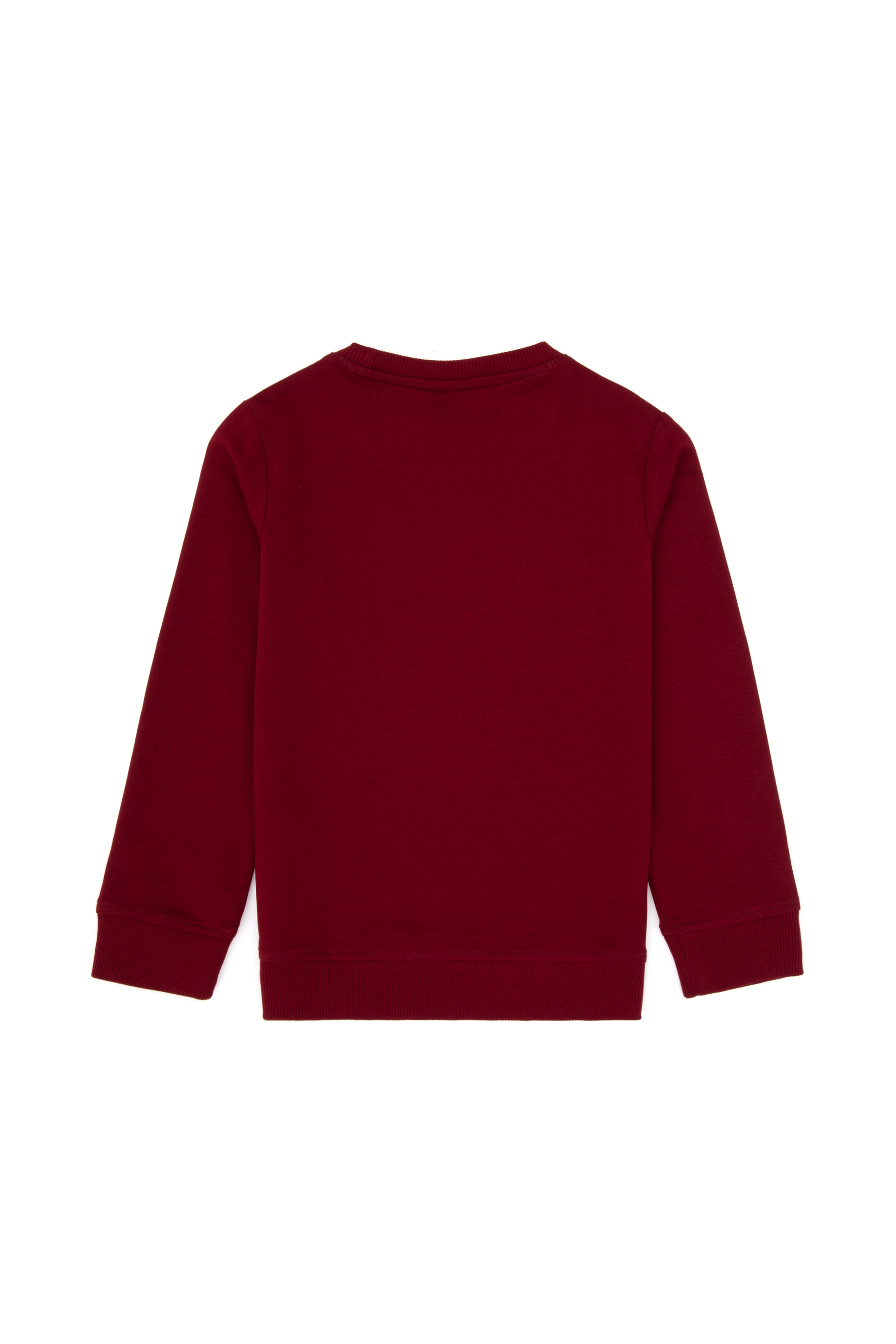 Erkek Çocuk Bordo Bisiklet Yaka Sweatshirt - Image 6