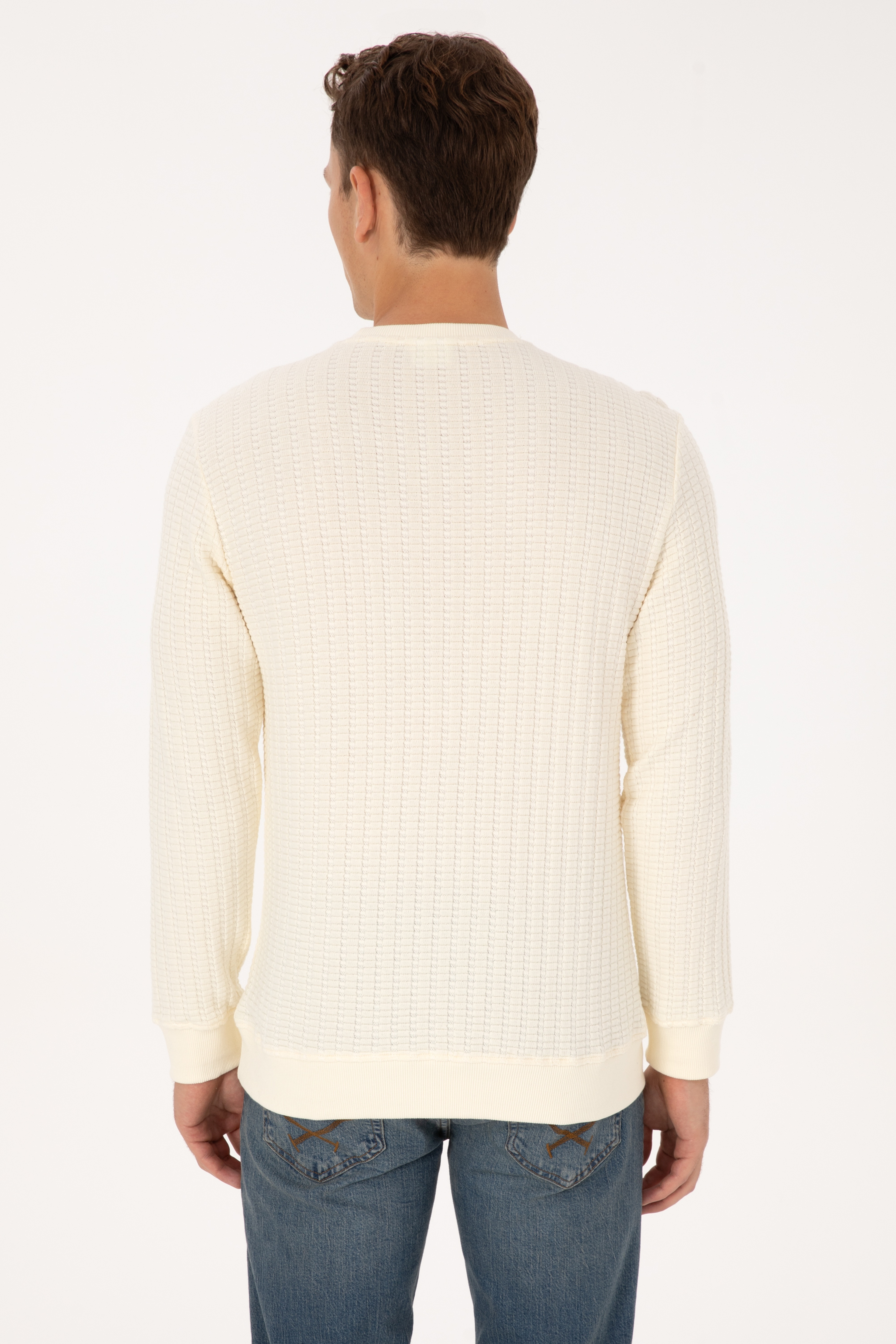 Erkek Regular Fit Bisiklet Yaka Desenli Krem Sweatshirt - Image 5