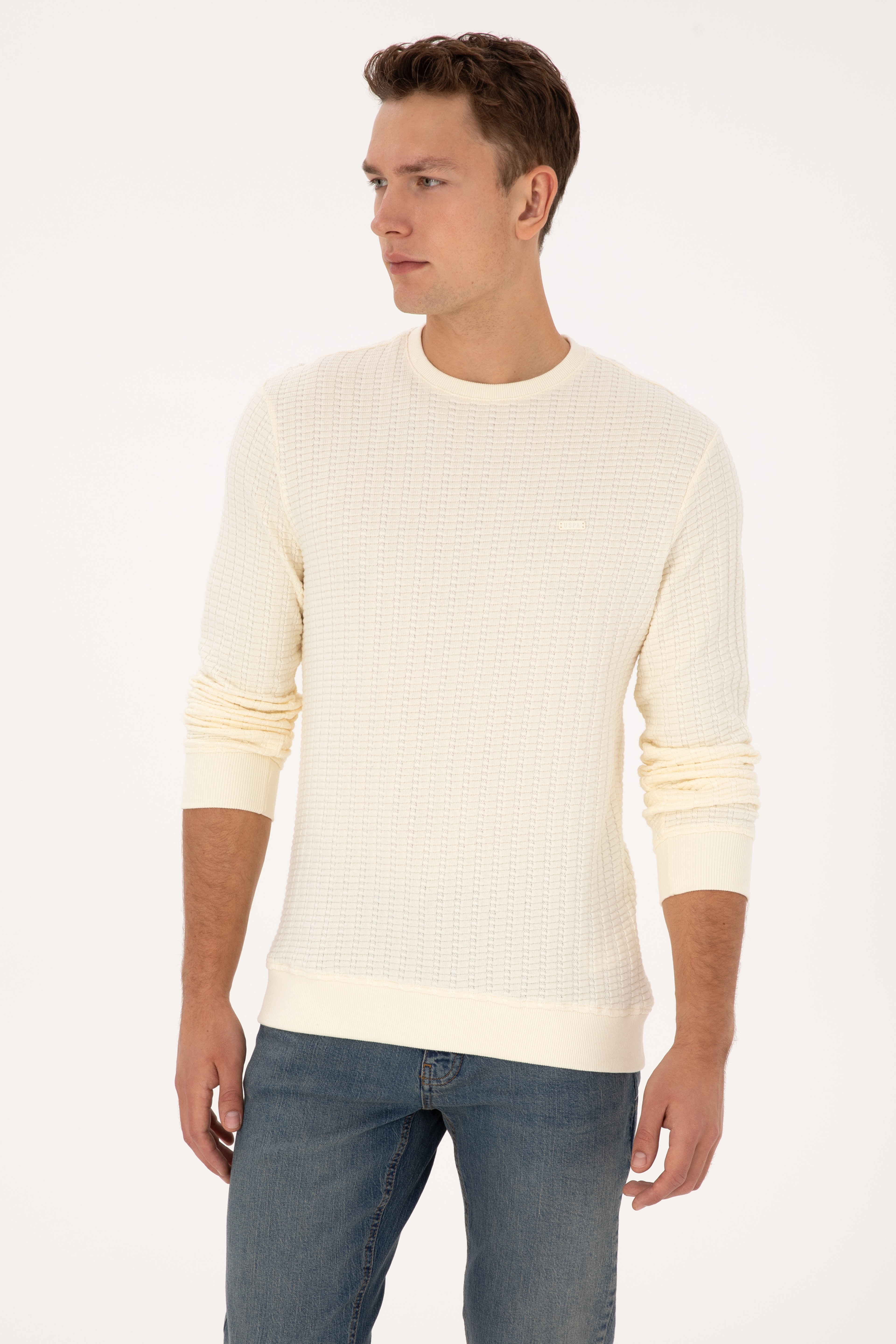 Erkek Regular Fit Bisiklet Yaka Desenli Krem Sweatshirt - Image 3