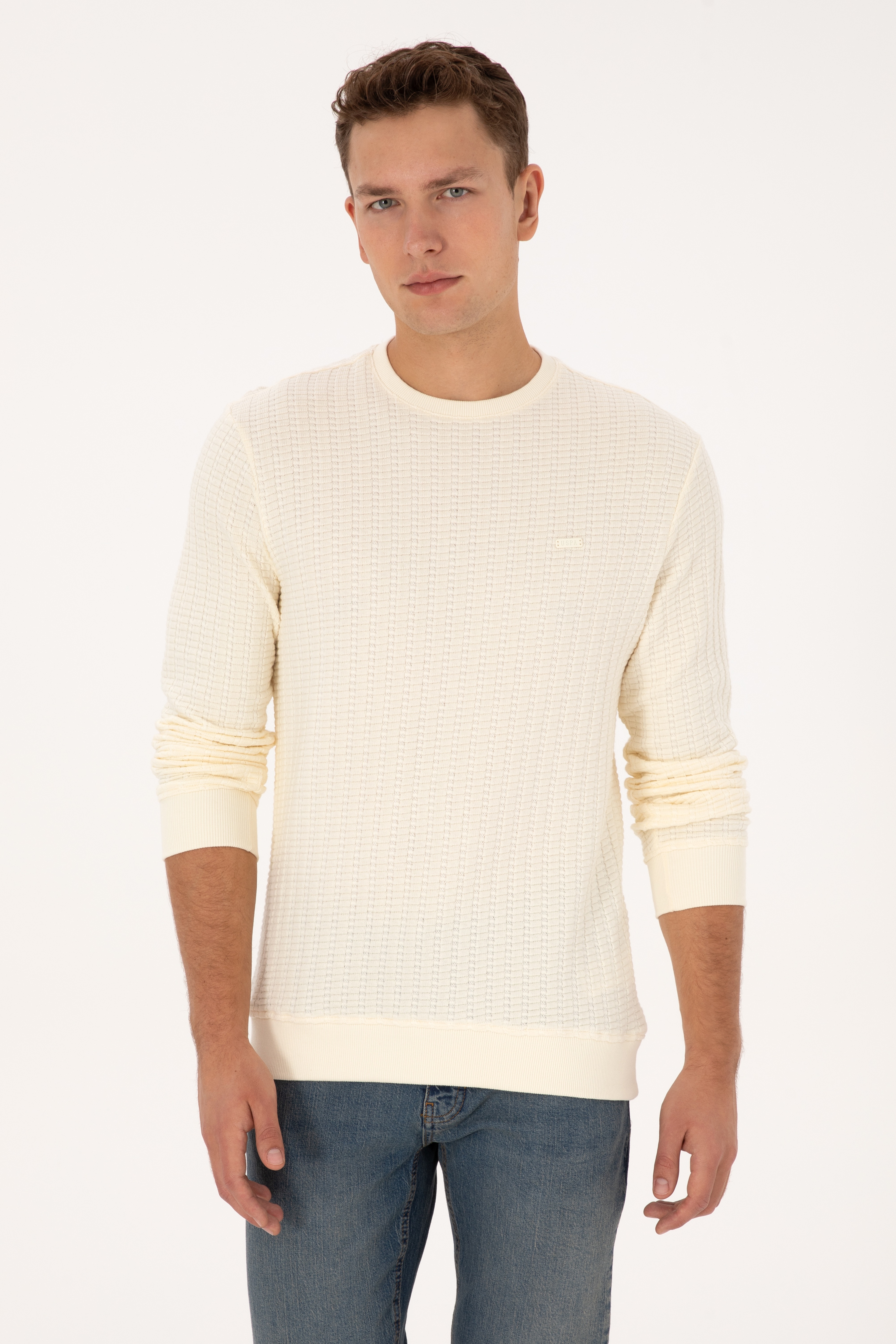 Erkek Regular Fit Bisiklet Yaka Desenli Krem Sweatshirt - Image 1