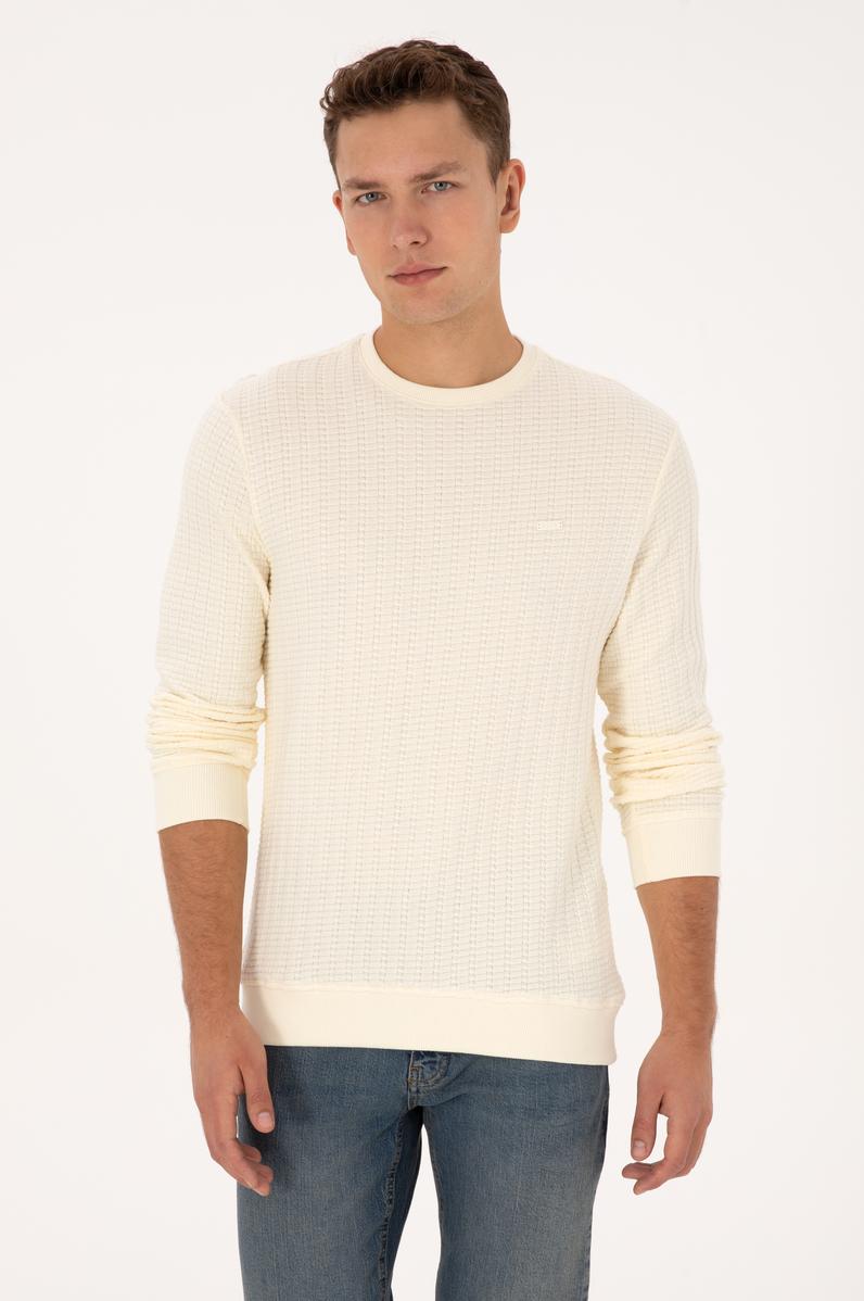 Erkek Regular Fit Bisiklet Yaka Desenli Krem Sweatshirt