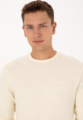 Erkek Regular Fit Bisiklet Yaka Desenli Krem Sweatshirt - 50308917001