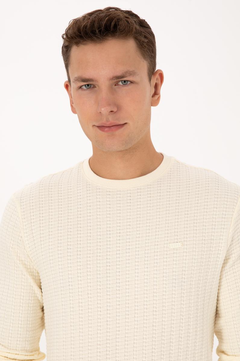 Erkek Regular Fit Bisiklet Yaka Desenli Krem Sweatshirt