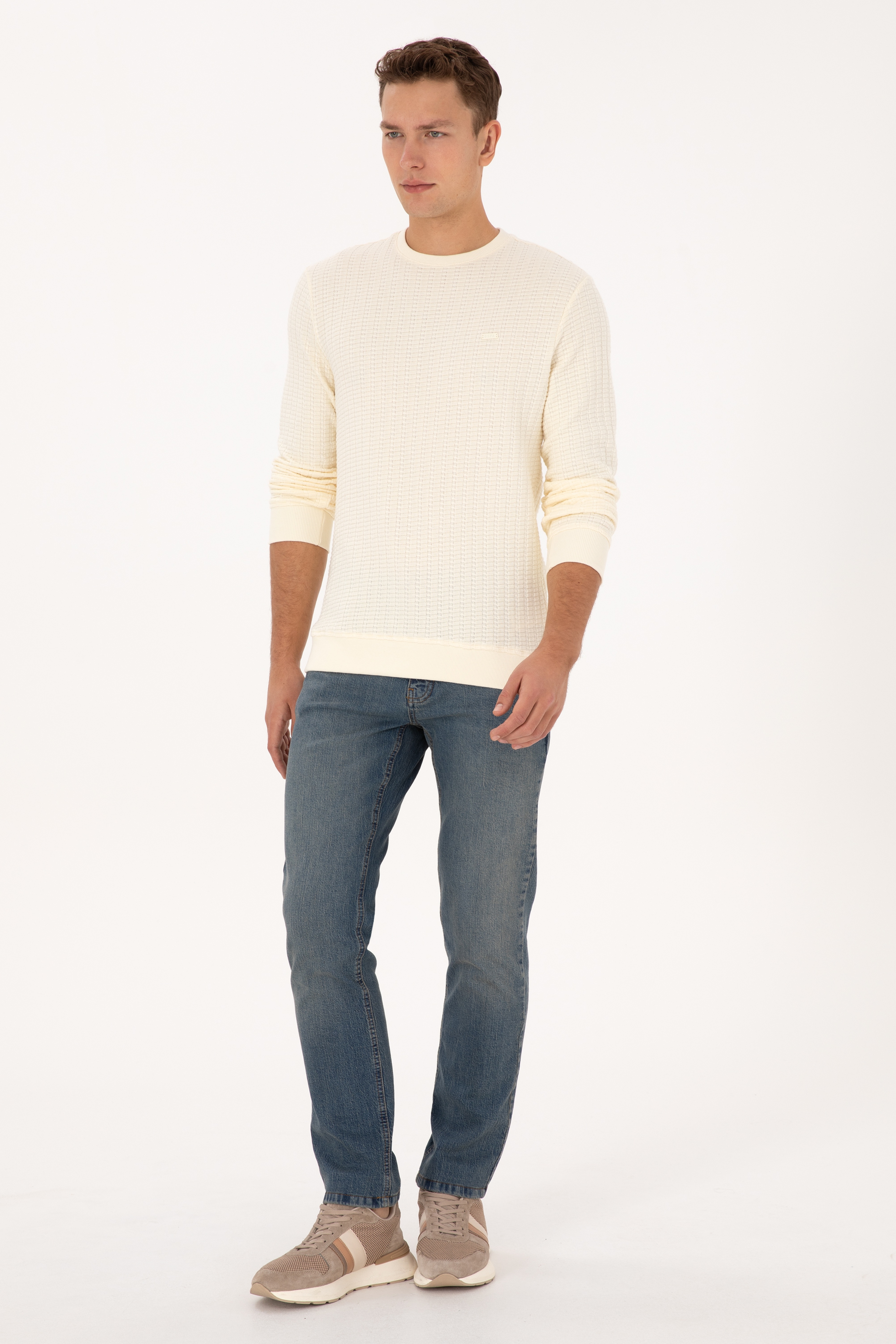 Erkek Regular Fit Bisiklet Yaka Desenli Krem Sweatshirt