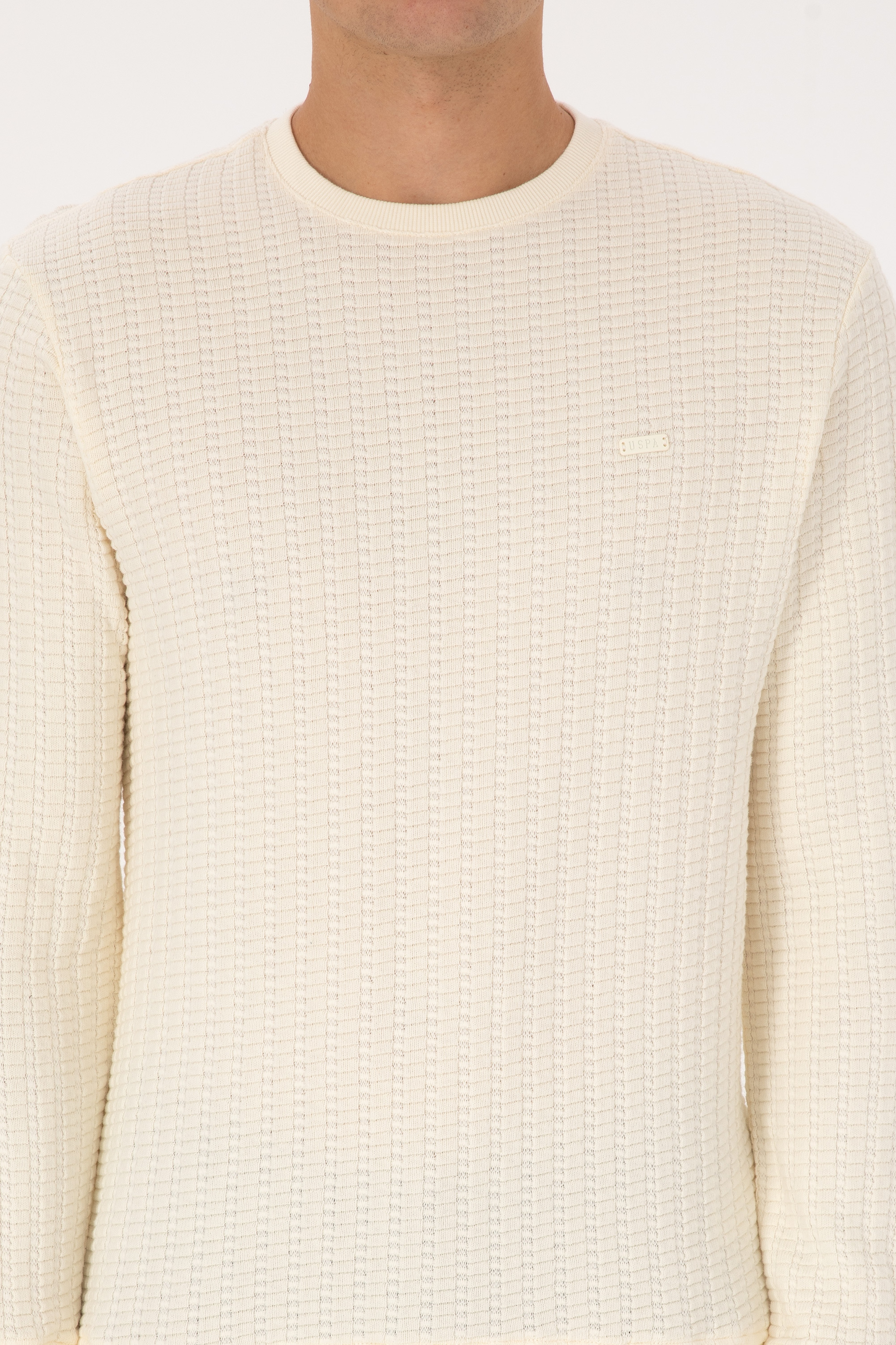 Erkek Regular Fit Bisiklet Yaka Desenli Krem Sweatshirt - Image 6