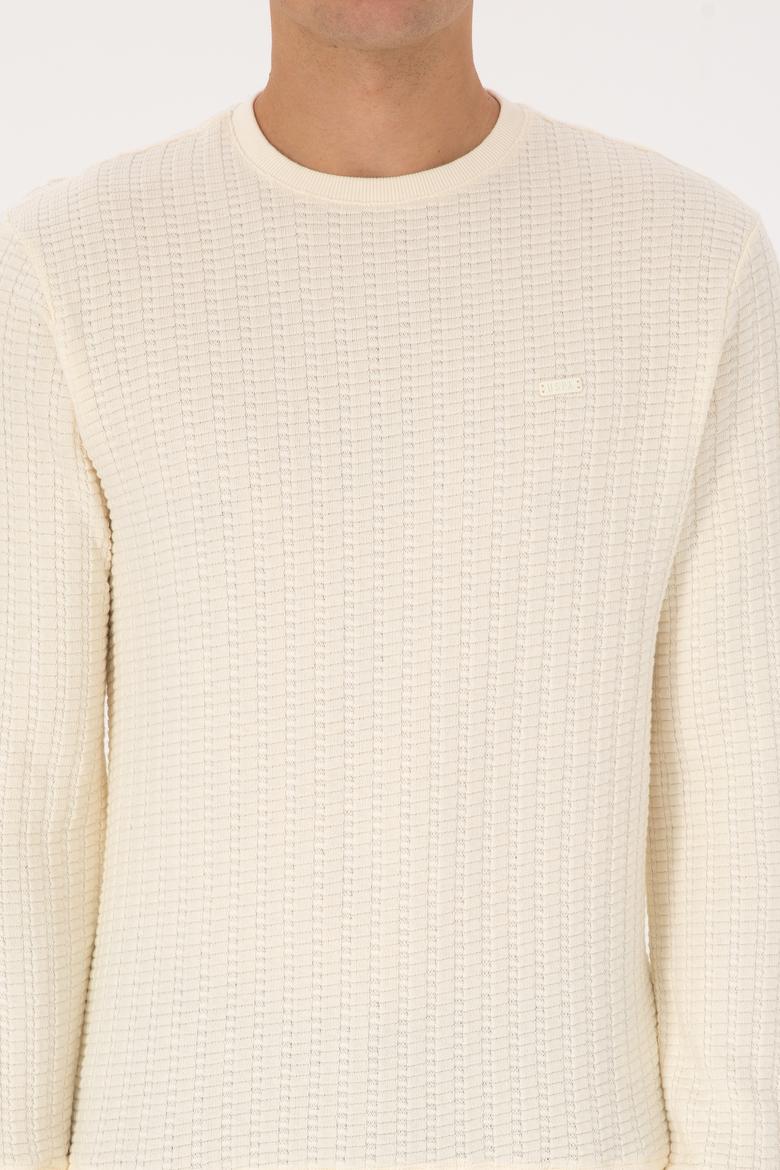 Erkek Regular Fit Bisiklet Yaka Desenli Krem Sweatshirt - 50308917001