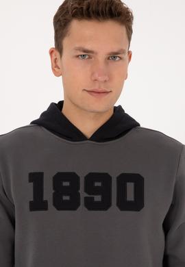 Erkek Regular Fit Kapüşonlu Şardonlu Gri Sweatshirt - 50316359081